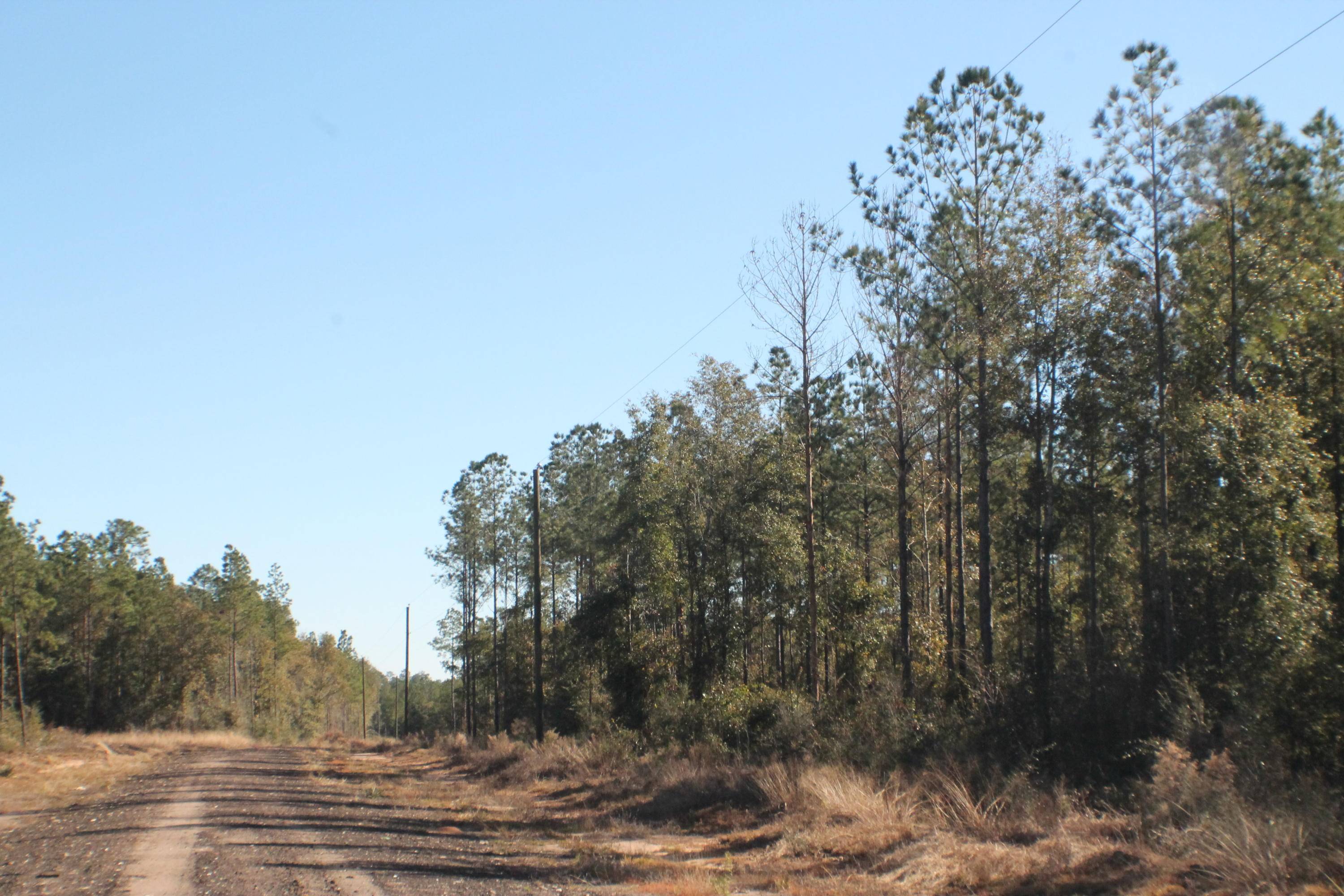 Milton, FL 32570,Lot 3 Forest Hills Drive