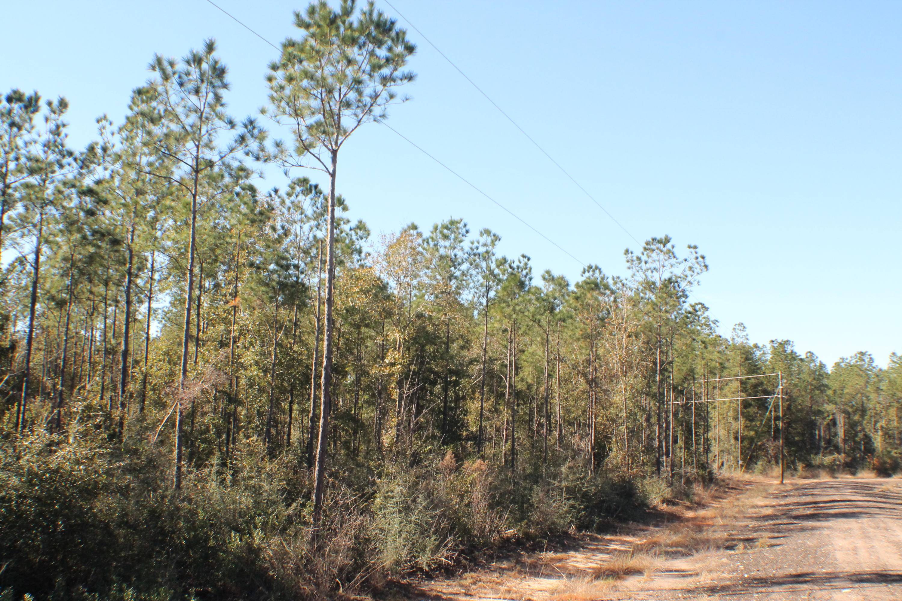 Milton, FL 32570,Lot 3 Forest Hills Drive