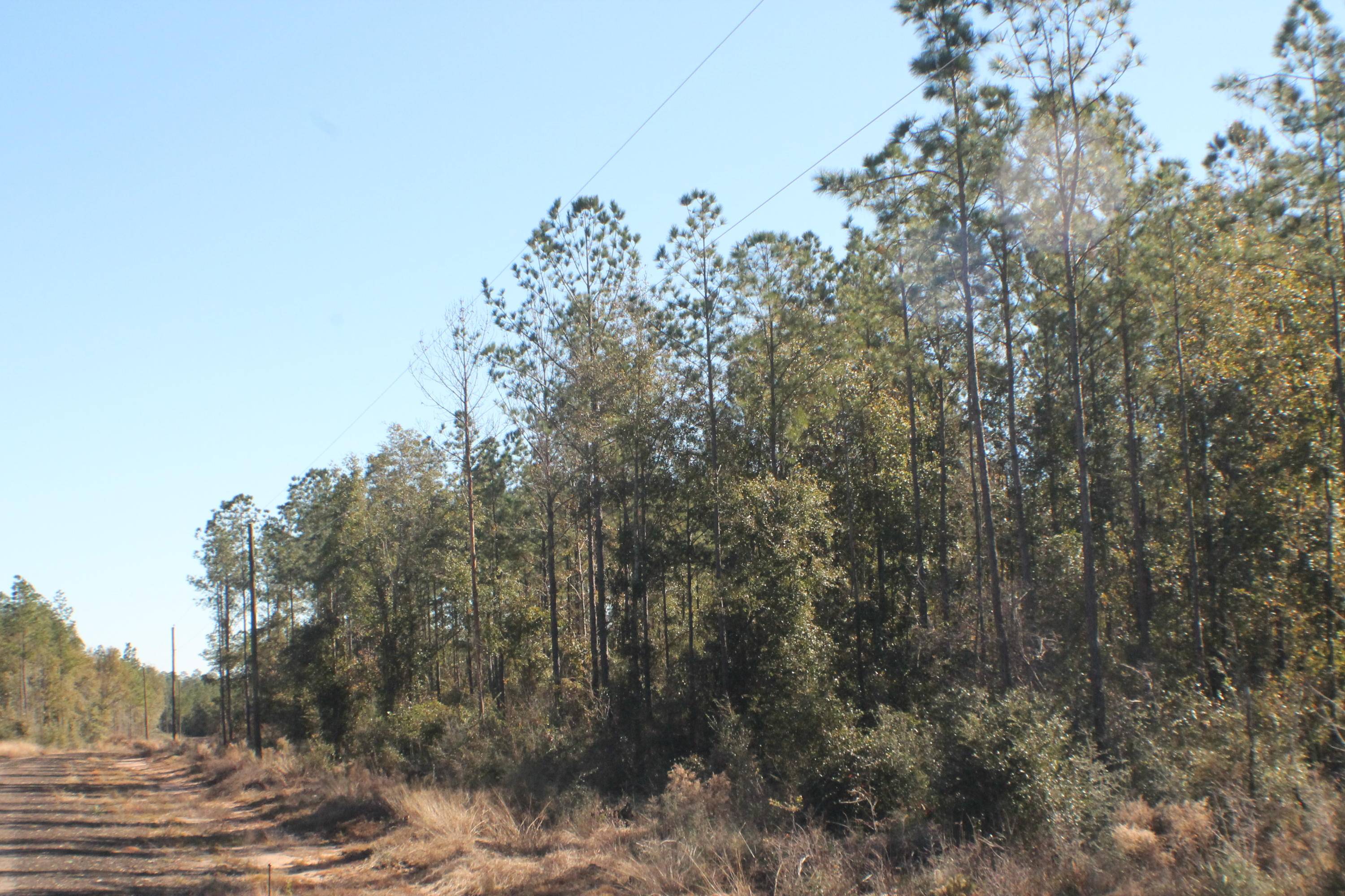 Milton, FL 32570,Lot 2 Forest Hills Drive