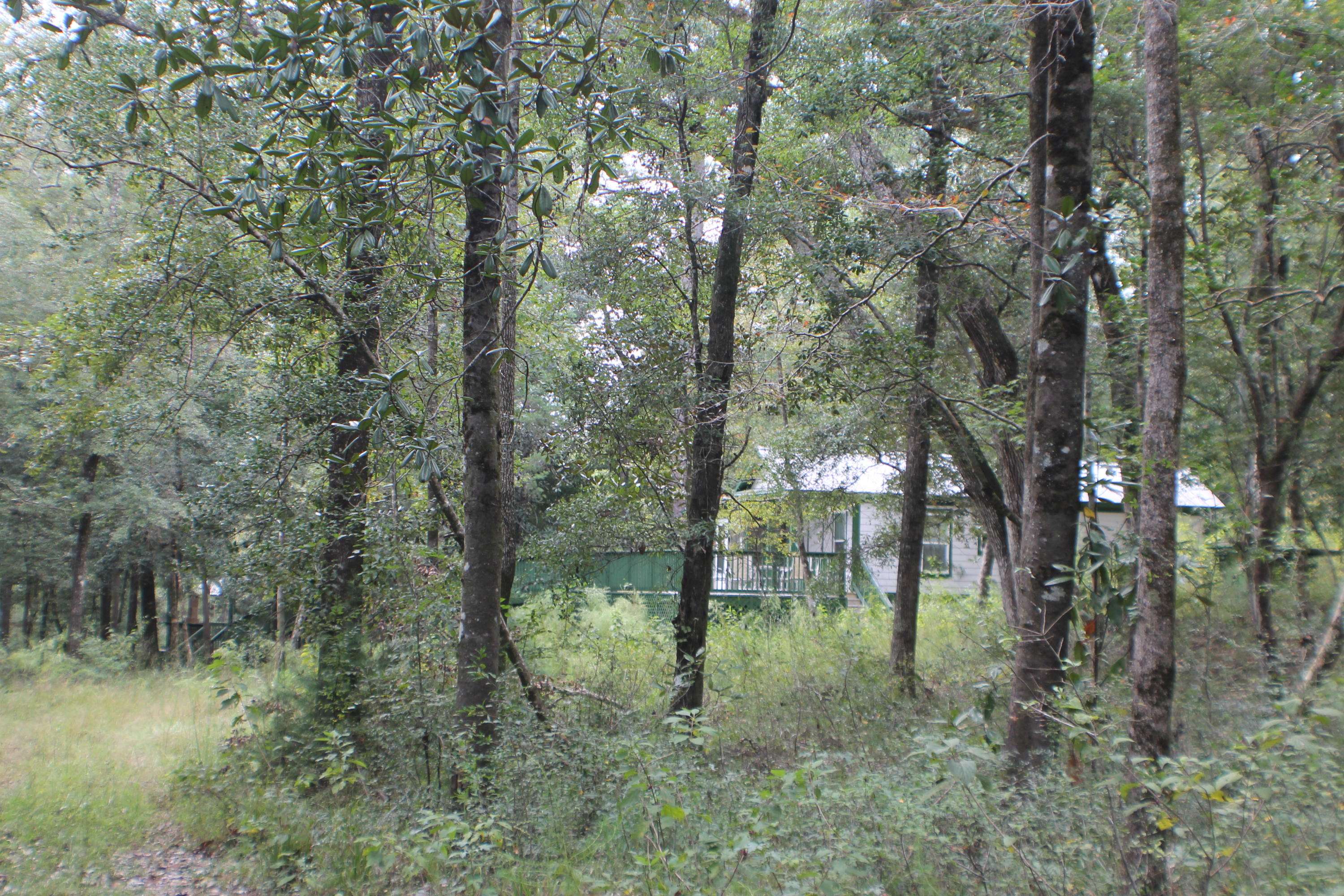 Crestview, FL 32539,1.2 AC Hwy 393