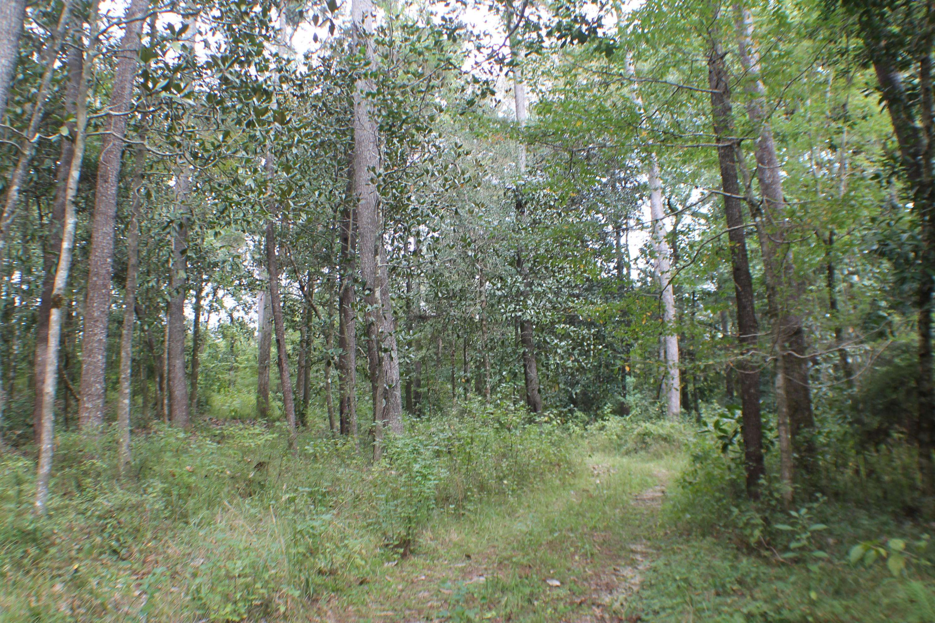 Crestview, FL 32539,1.2 AC Hwy 393