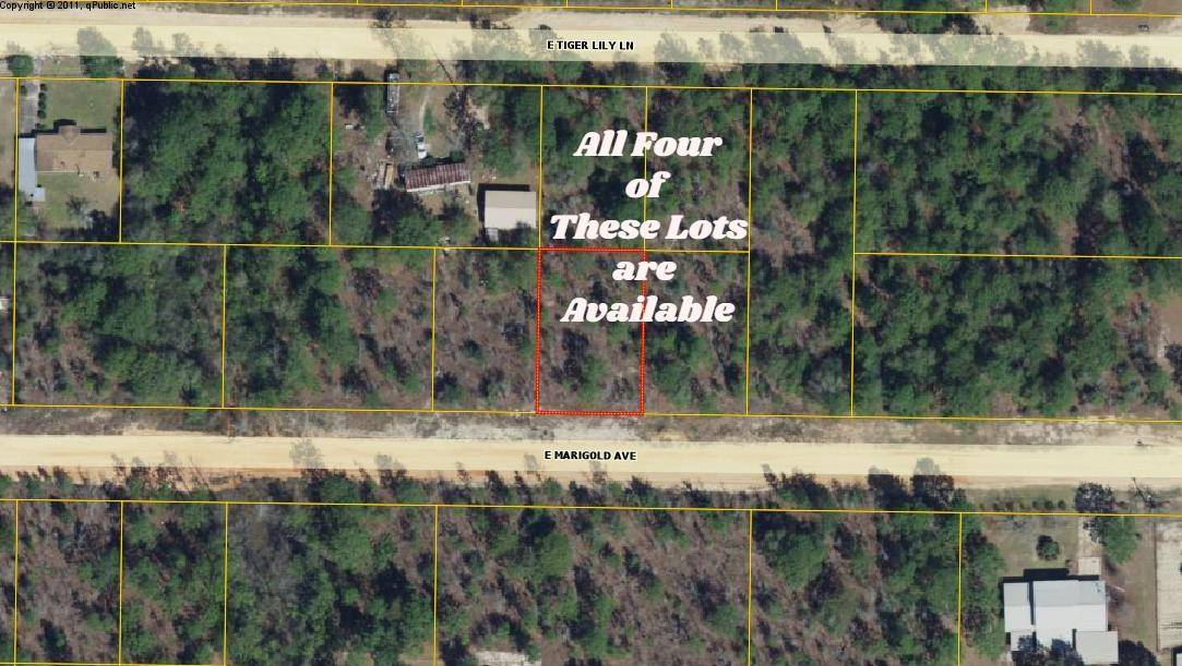 Defuniak Springs, FL 32433,Lot 35 E Marigold Avenue