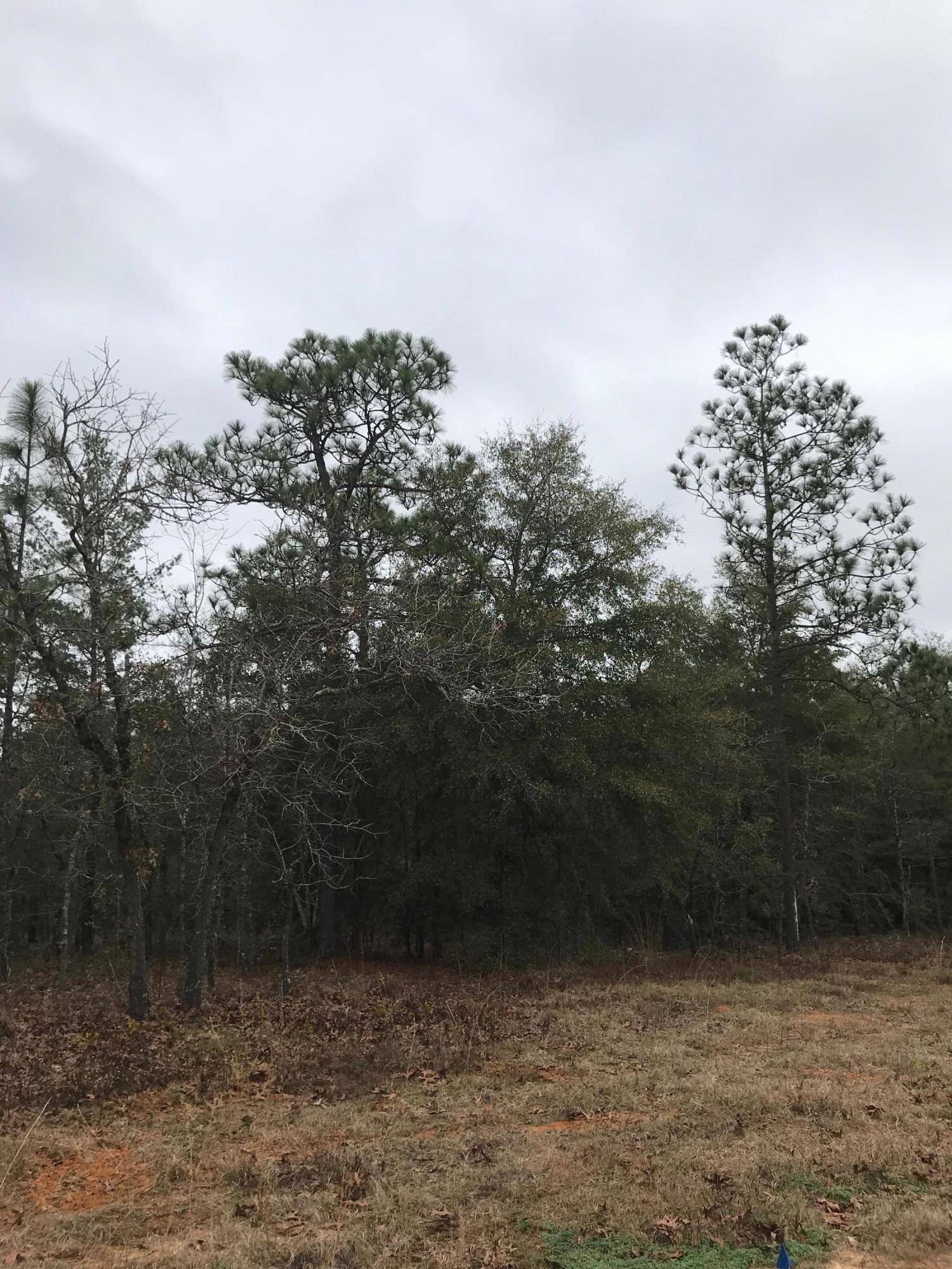 Defuniak Springs, FL 32433,Lot 35 E Marigold Avenue