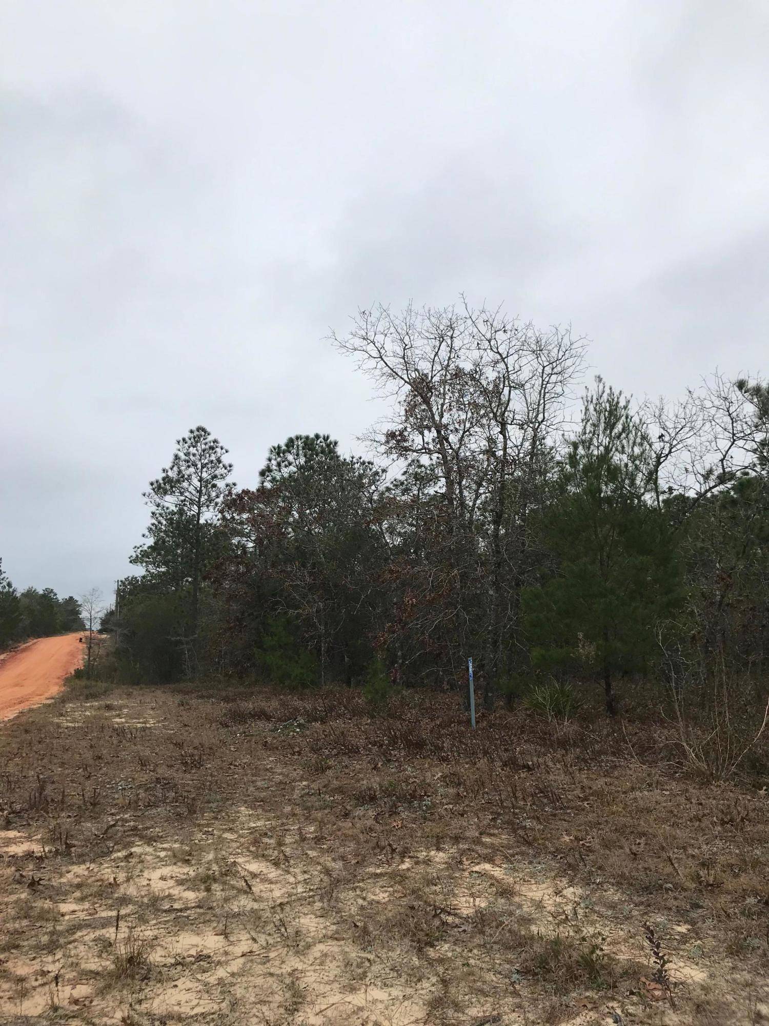 Defuniak Springs, FL 32433,Lot 36 E Marigold Avenue