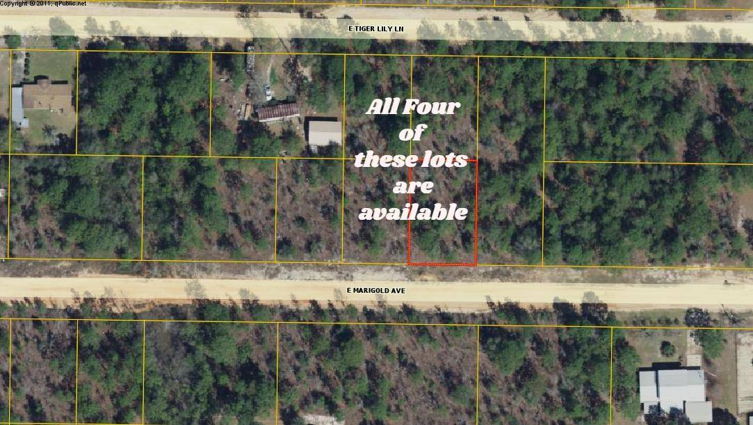 Defuniak Springs, FL 32433,Lot 36 E Marigold Avenue