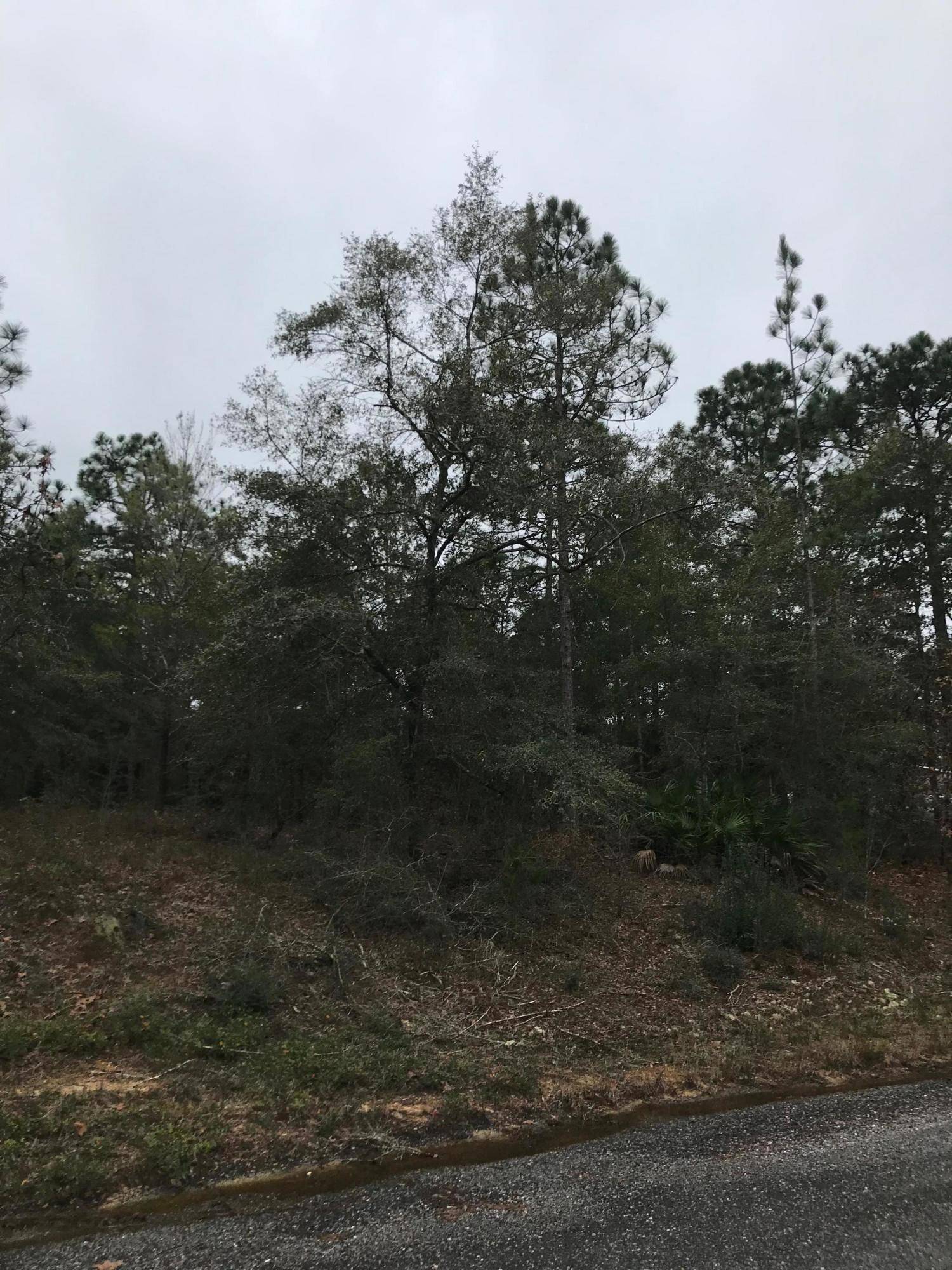 Defuniak Springs, FL 32433,Lot 13 E Tiger Lily Lane