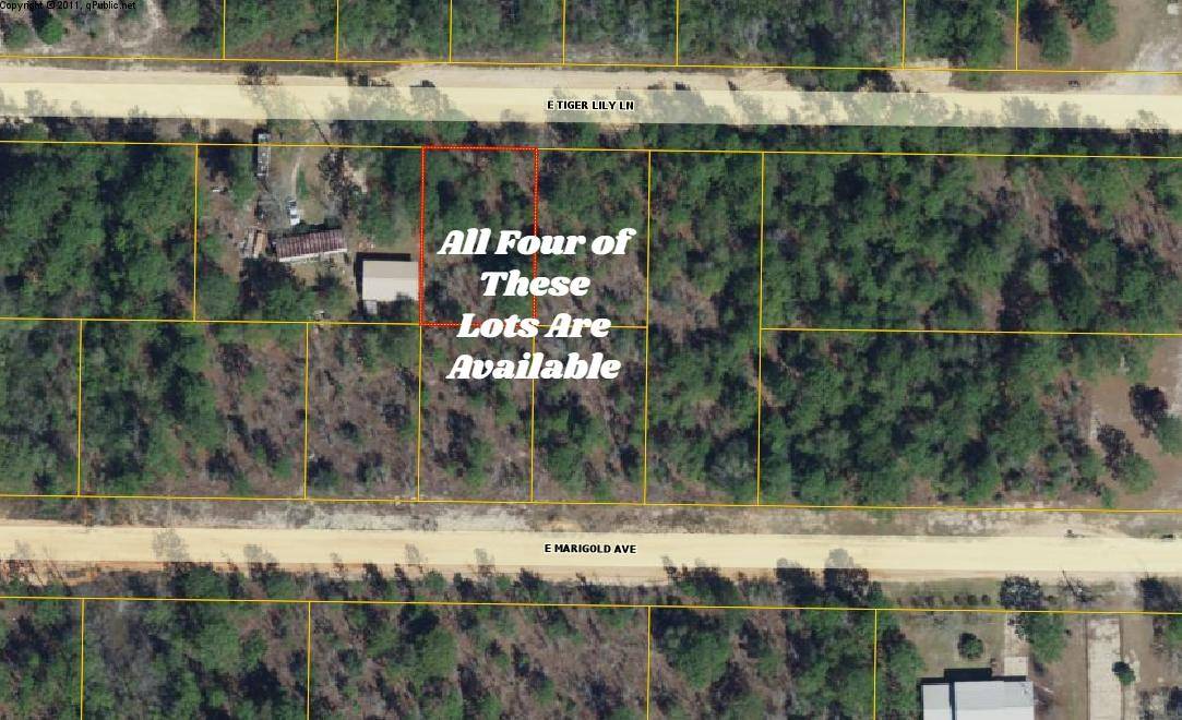 Defuniak Springs, FL 32433,Lot 13 E Tiger Lily Lane