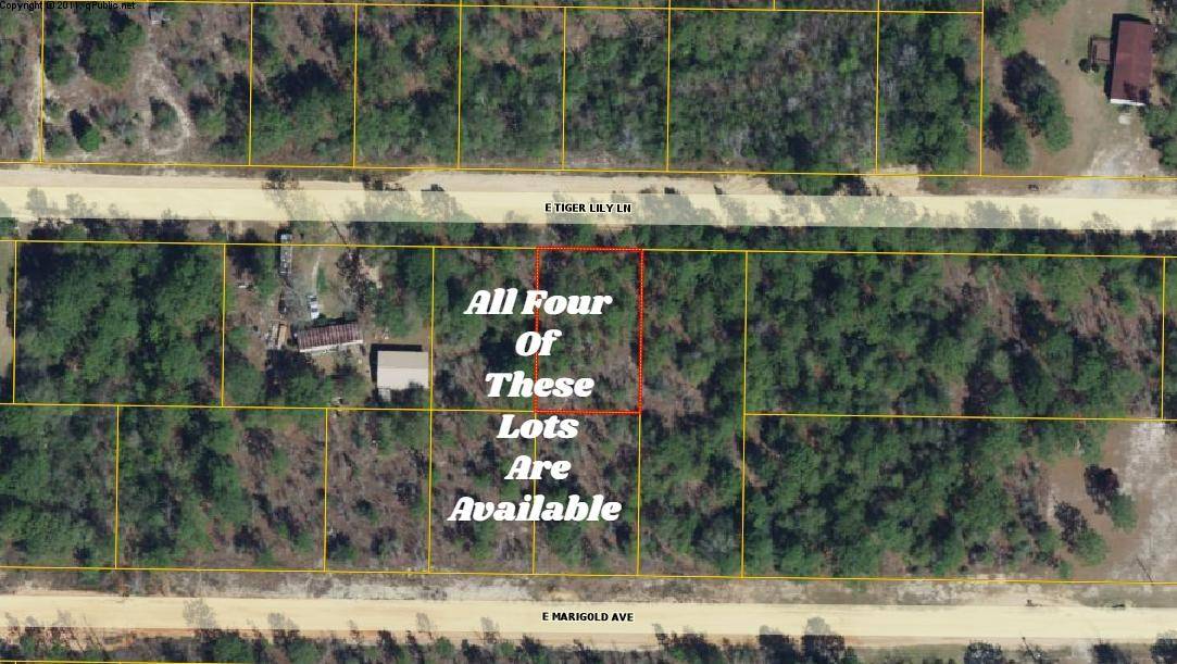 Defuniak Springs, FL 32433,Lot 14 E Tiger Lily Lane