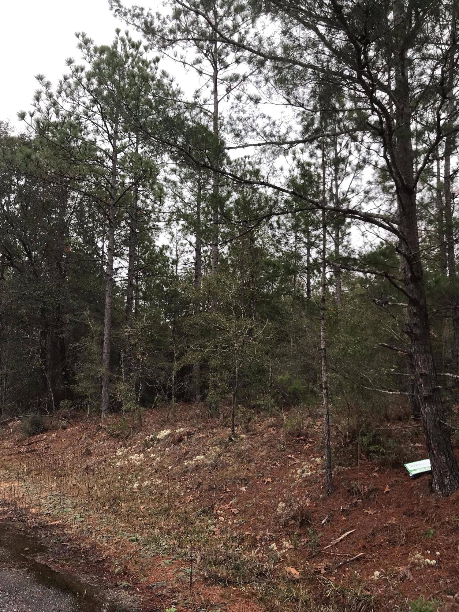 Defuniak Springs, FL 32433,Lot 14 E Tiger Lily Lane