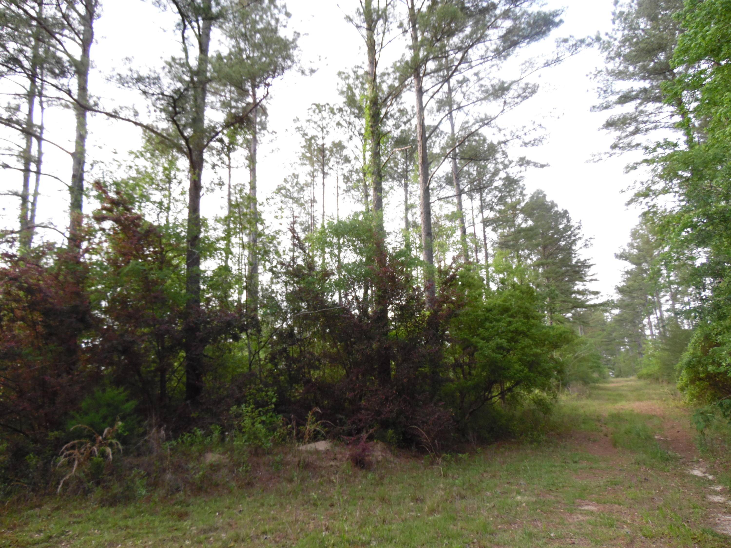 Florala, AL 36442,44 acres 4714 Co. Hwy 89