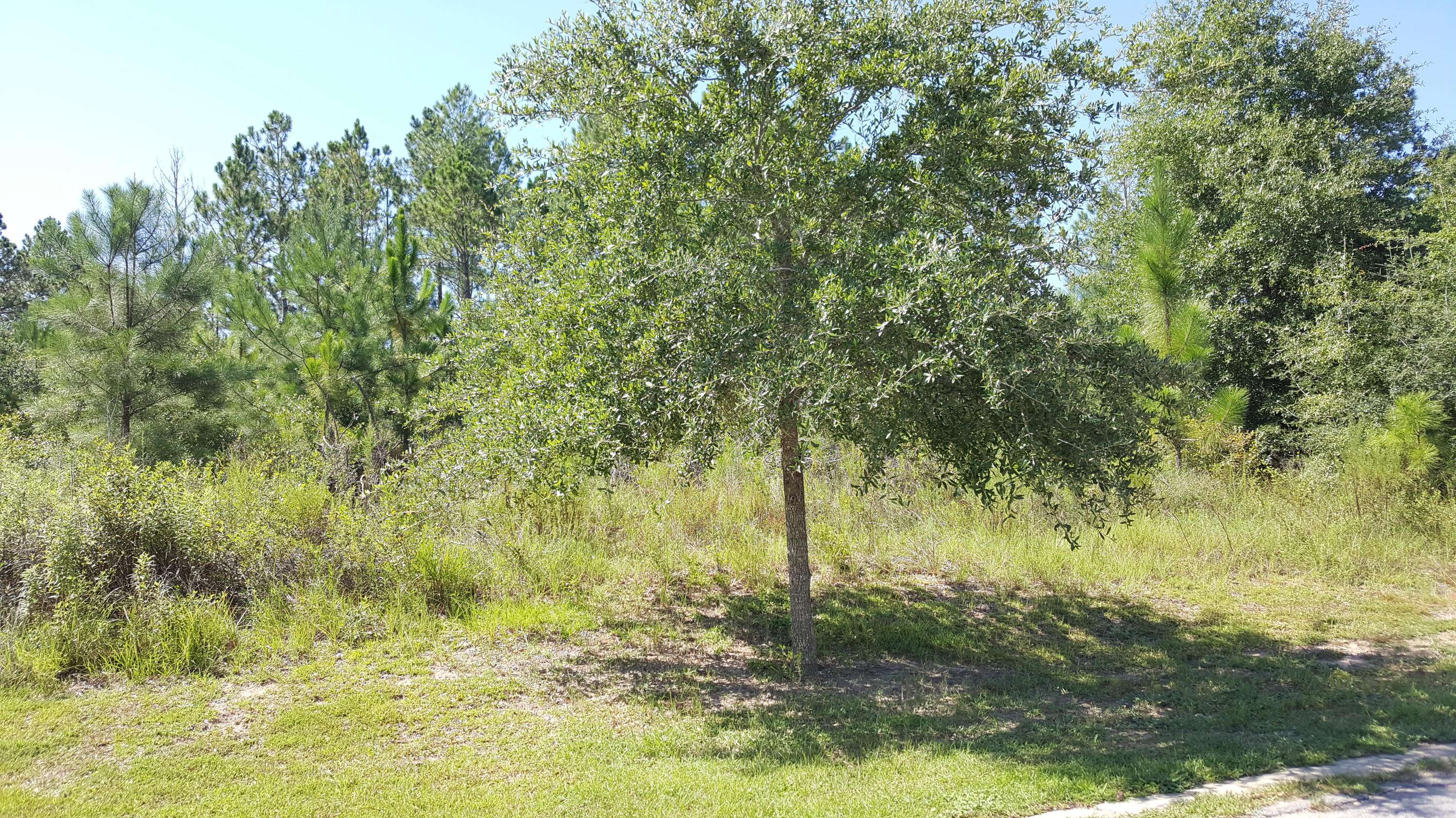 Crestview, FL 32536,LOT #25 Pinot Way