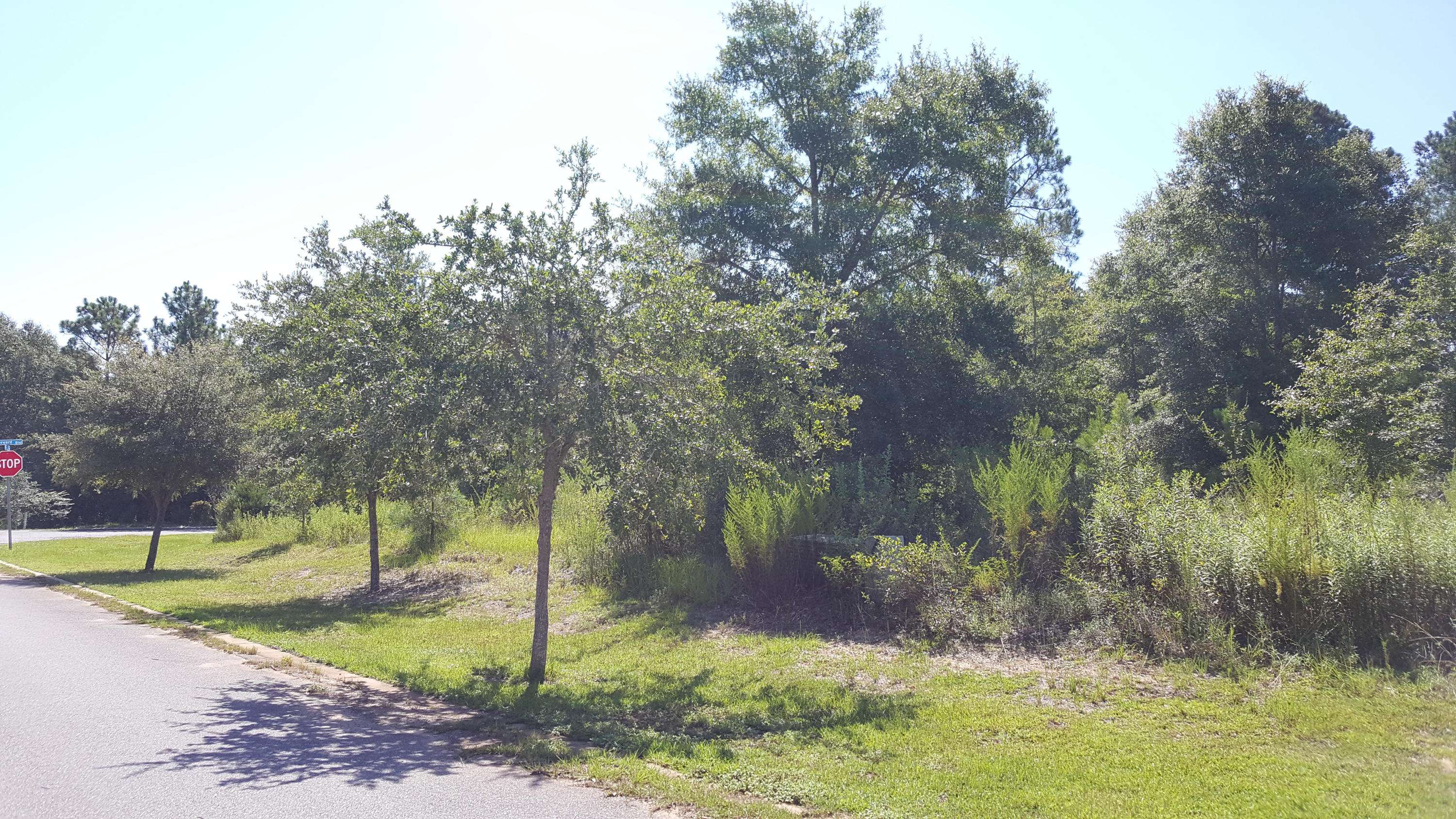 Crestview, FL 32536,LOT #24 Pinot Way