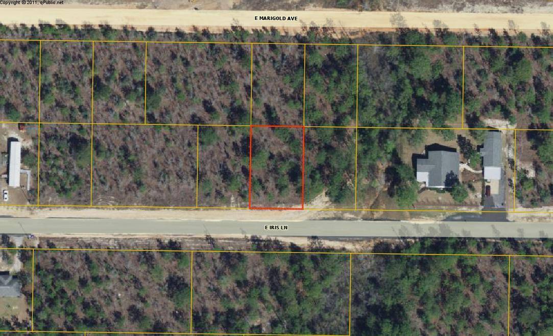 Defuniak Springs, FL 32433,lot 29 Iris Lane