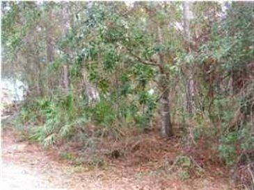 Santa Rosa Beach, FL 32459,Lot 37 Cox Road