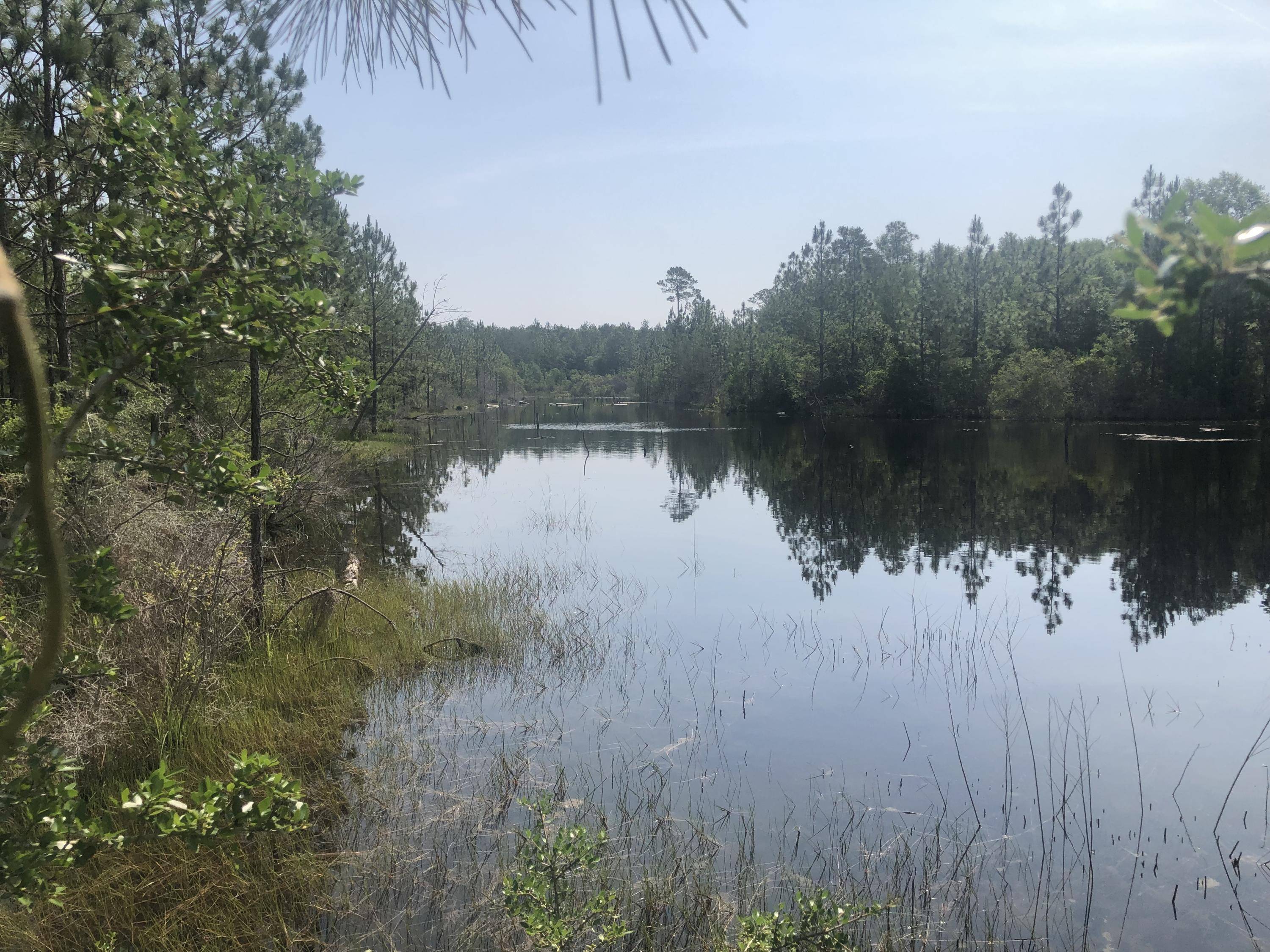 Crestview, FL 32539,16625 US-90