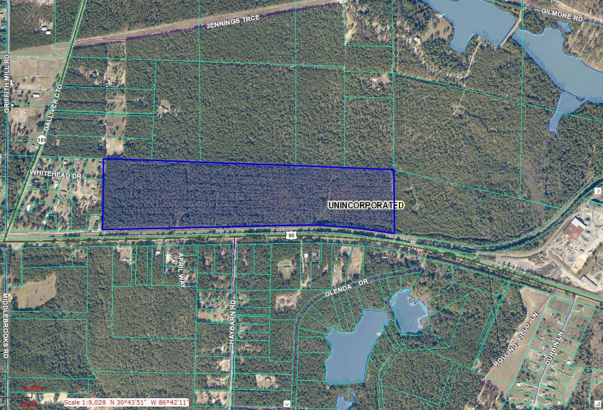 Holt, FL 32564,xxx 78 ac. Hwy. 90, West