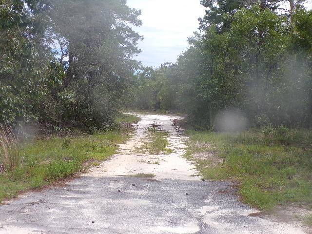 Freeport, FL 32439,98 Don Graff Road
