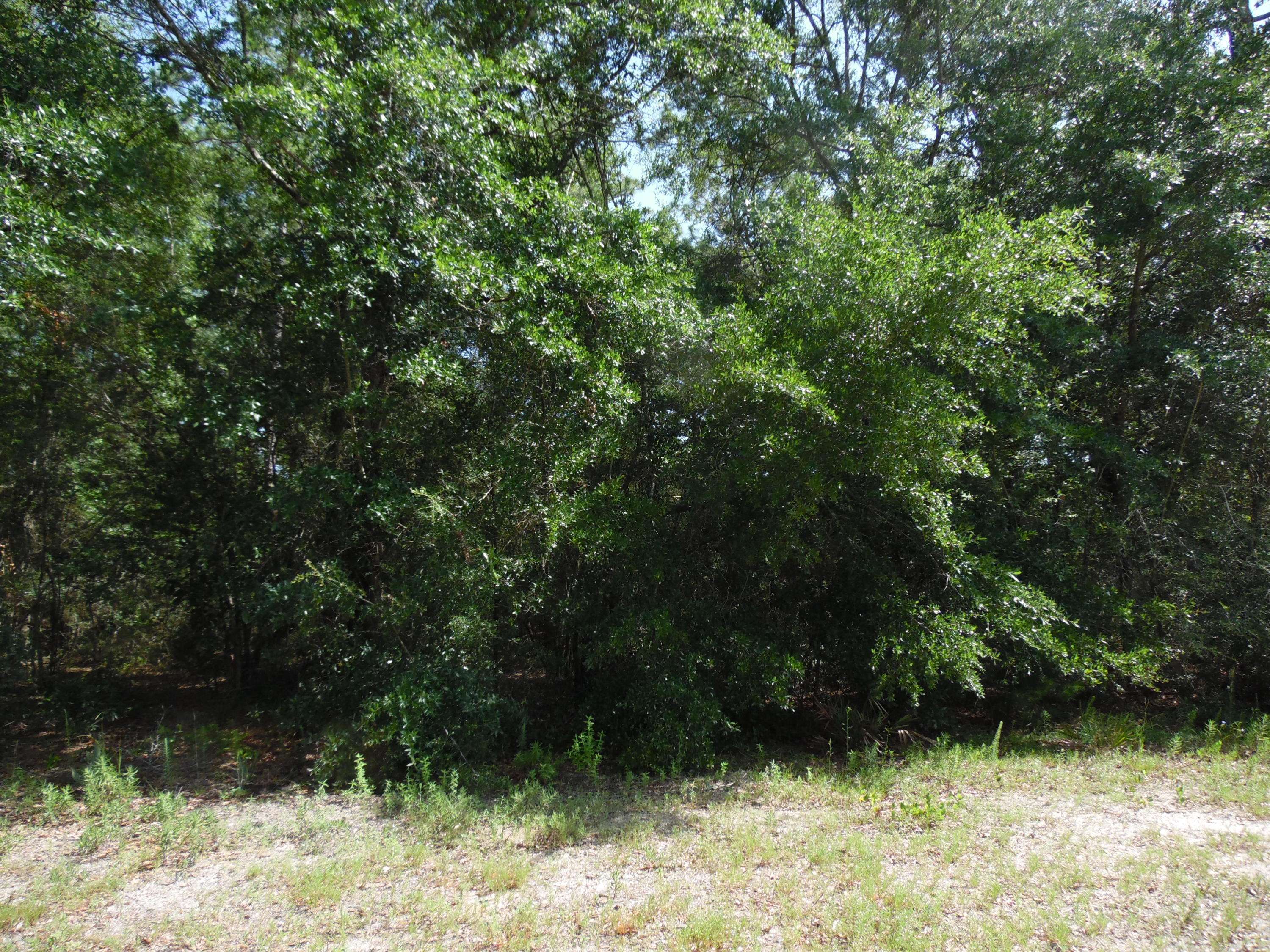 Defuniak Springs, FL 32433,LOT 8 US Hwy 90 West