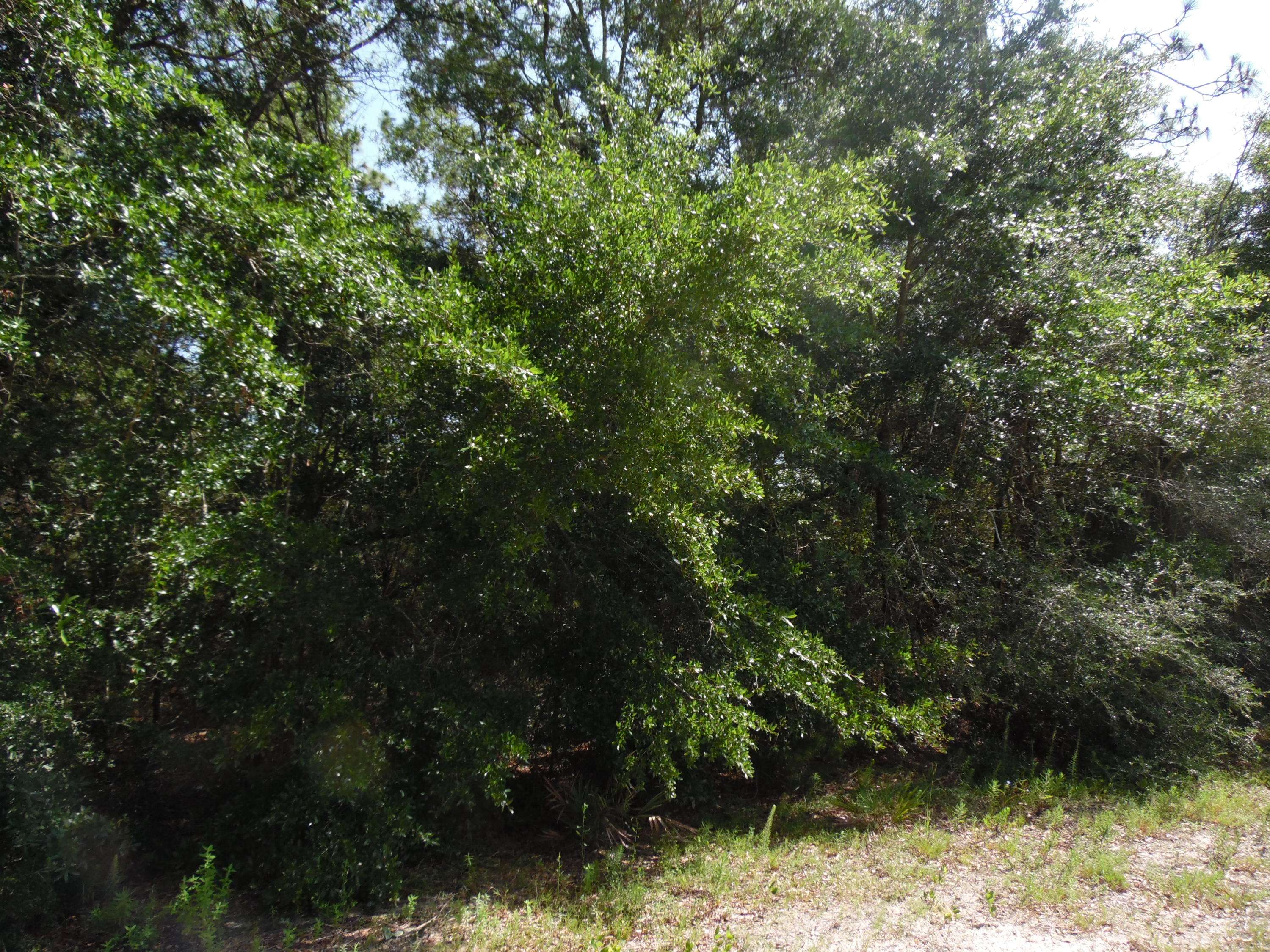 Defuniak Springs, FL 32433,LOT 8 US Hwy 90 West