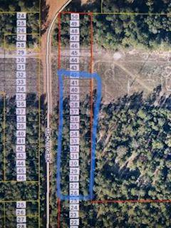 Crestview, FL 32539,TBD Kervin Road