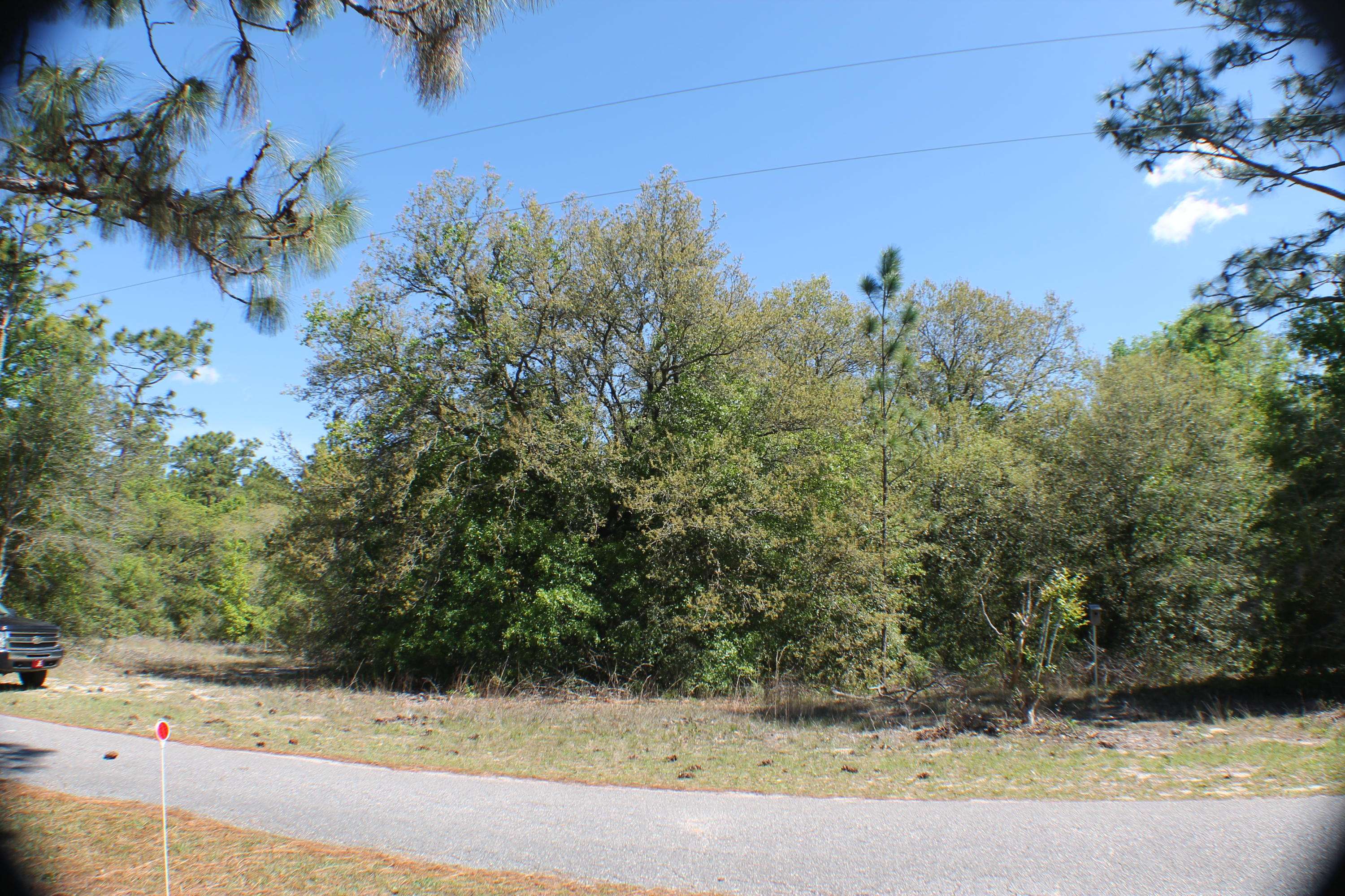 Crestview, FL 32536,2.93 AC Pinederosa Trail