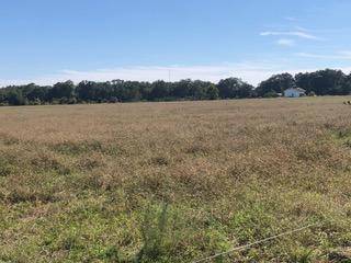 Holt, FL 32564,30 AC Griffith Mill Road