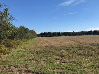 Holt, FL 32564,30 AC Griffith Mill Road