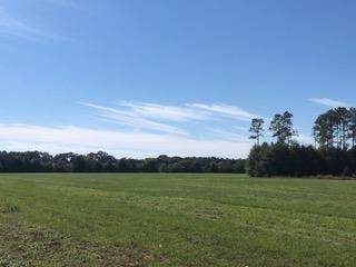 Holt, FL 32564,30 AC Griffith Mill Road