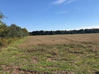 Holt, FL 32564,30 AC Griffith Mill Road