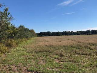 Holt, FL 32564,10 AC - D Griffith Mill Road