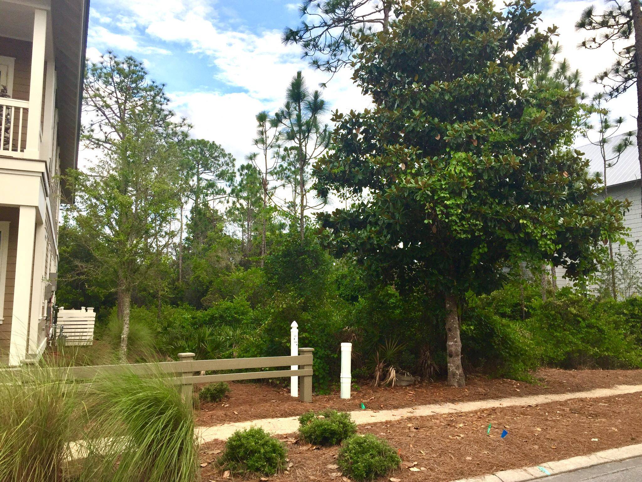 Santa Rosa Beach, FL 32459,458 E Royal Fern Way  #Lot 44