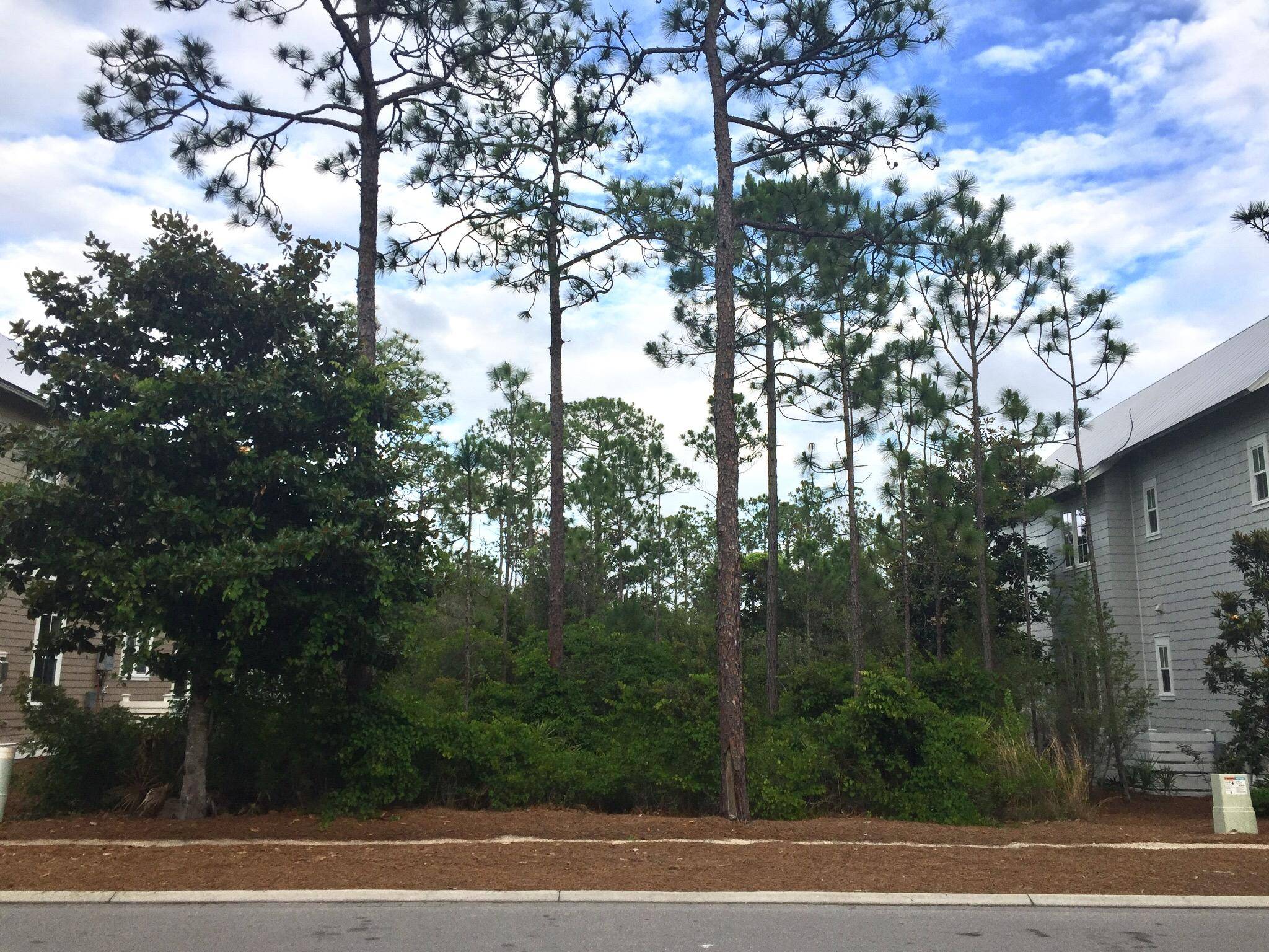 Santa Rosa Beach, FL 32459,458 E Royal Fern Way  #Lot 44