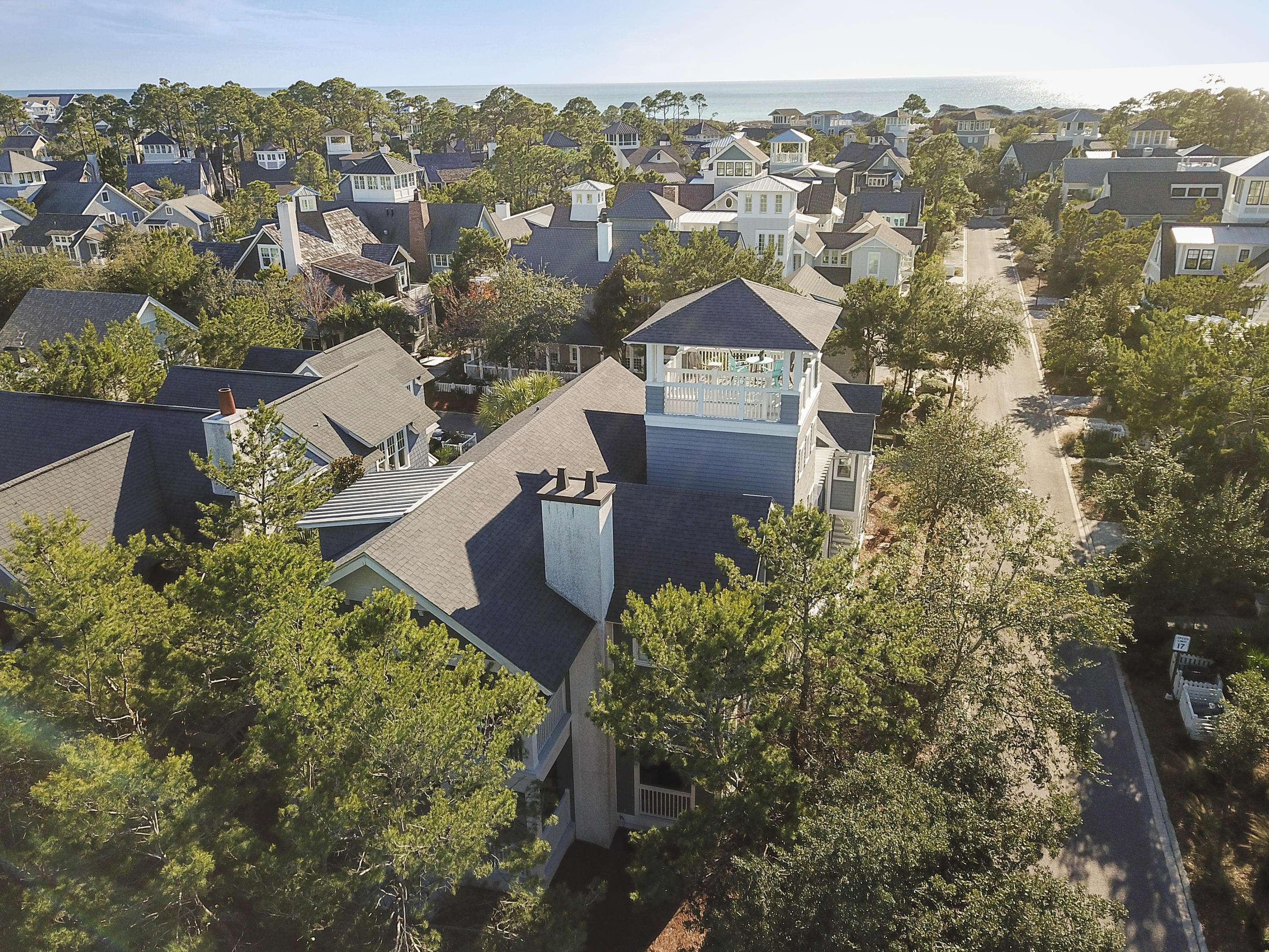 Inlet Beach, FL 32461,88 Tidepool Lane