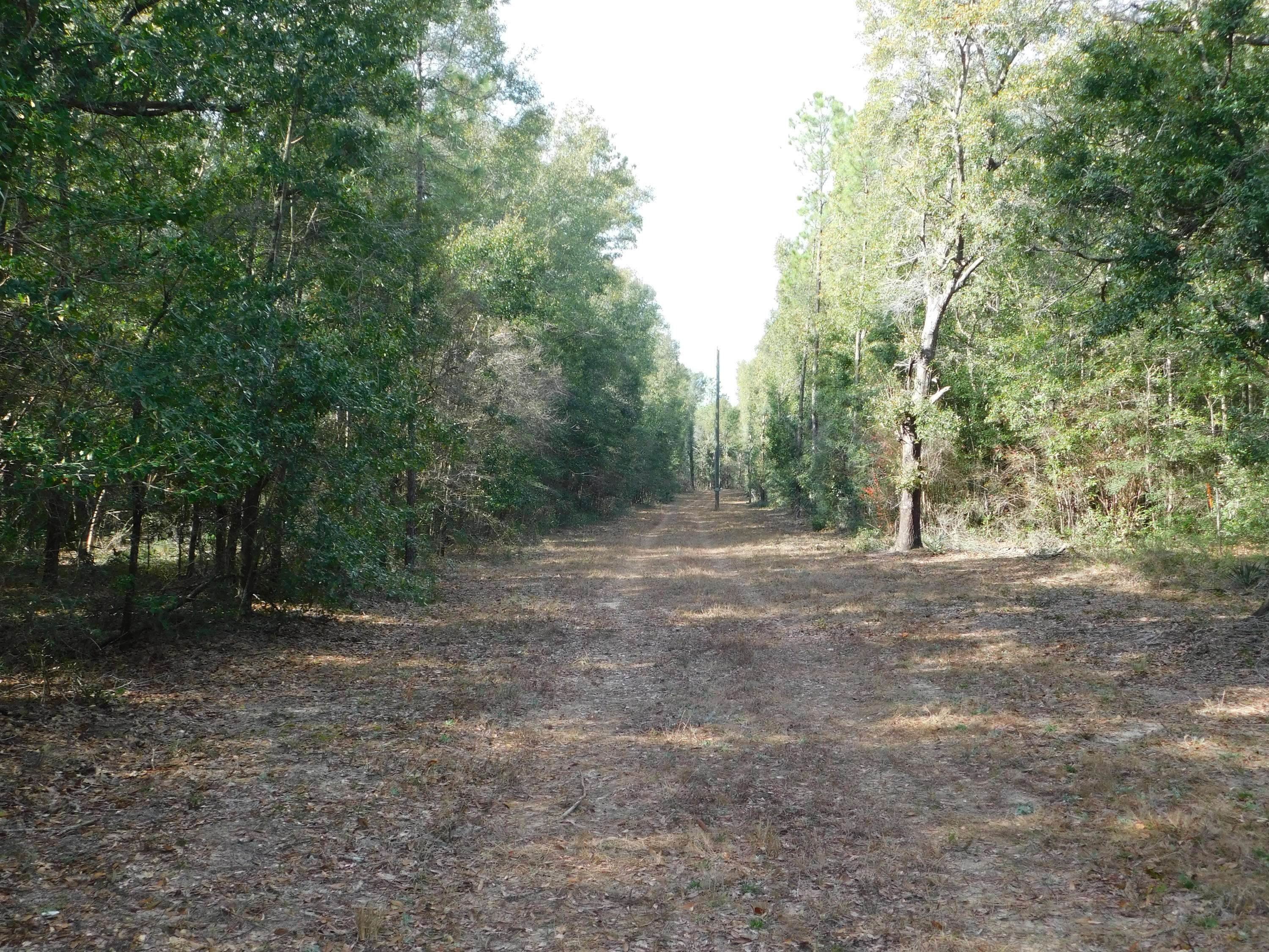 Holt, FL 32564,4503 Wilkerson Bluff Road