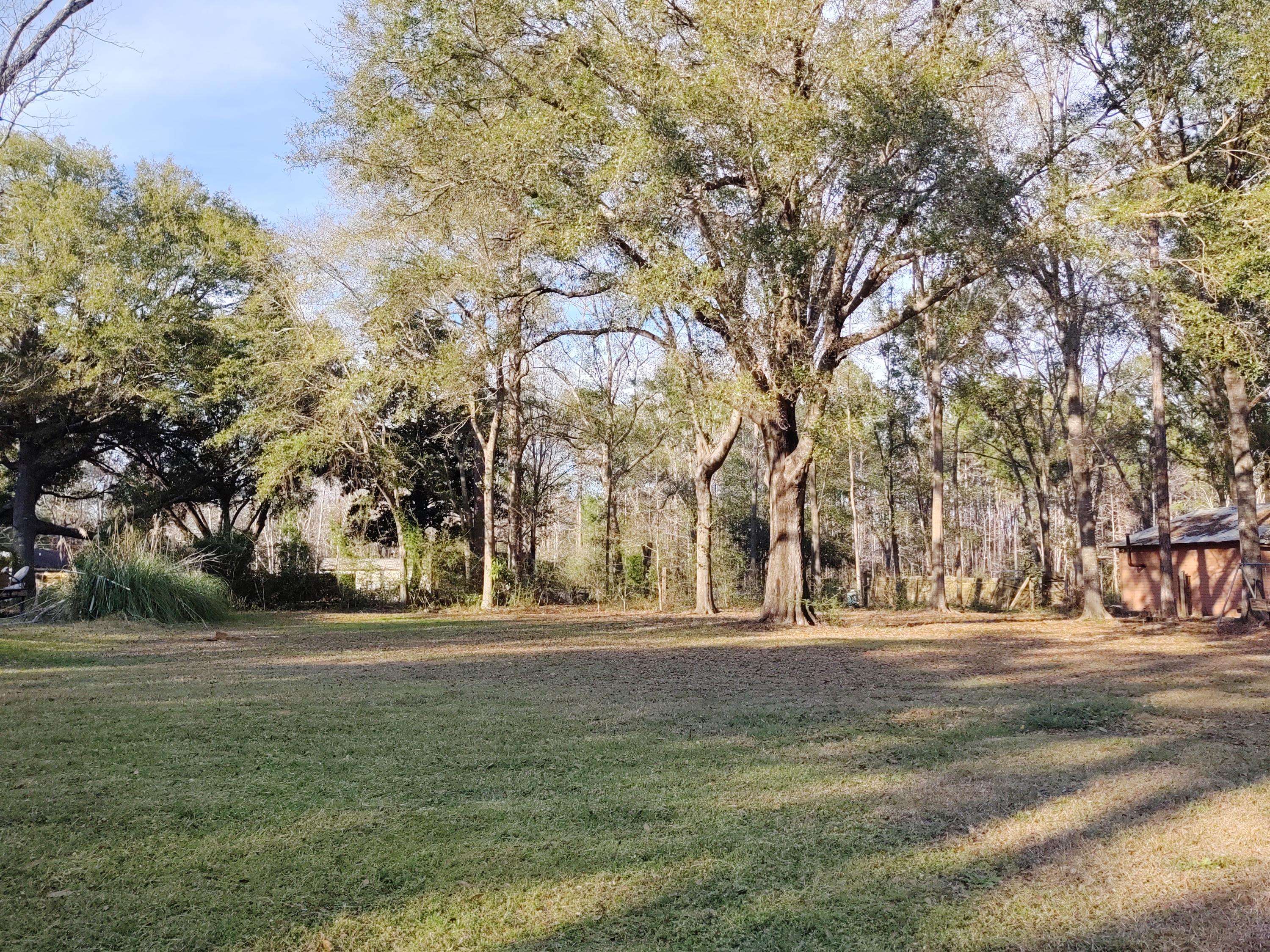 Freeport, FL 32439,Lot 2 Tubbs Lane