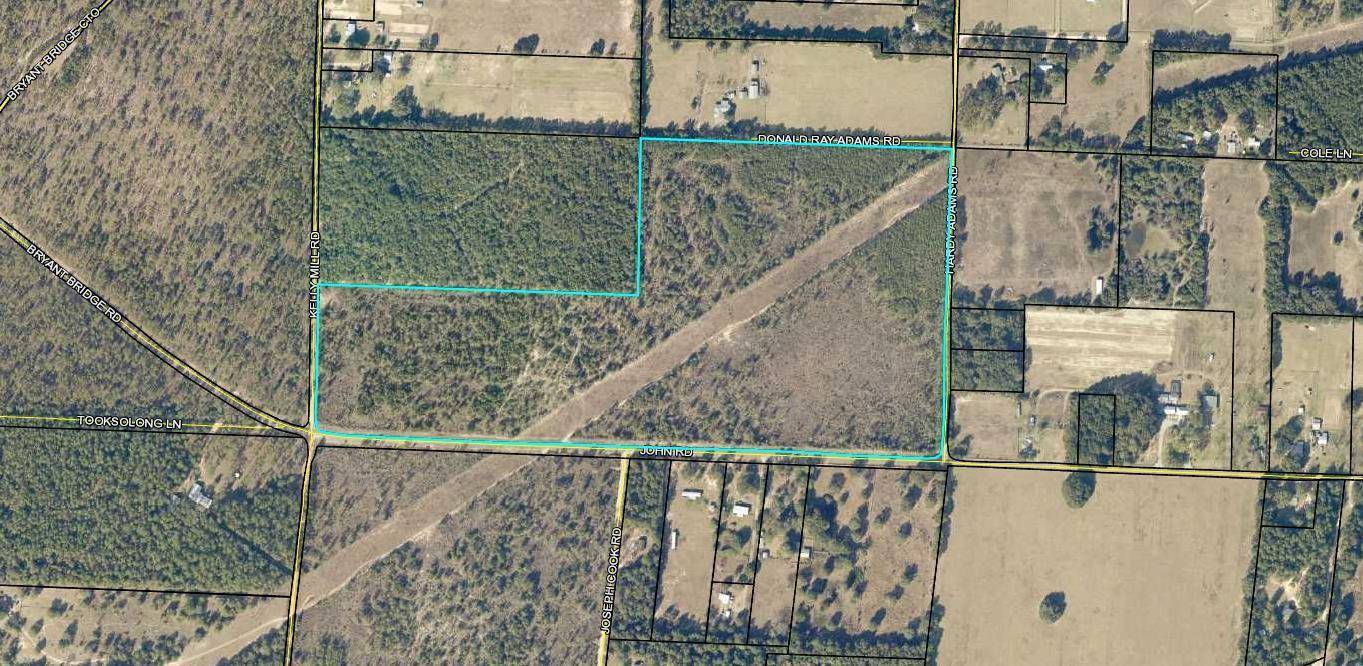 Holt, FL 32564,190 Ac John Road