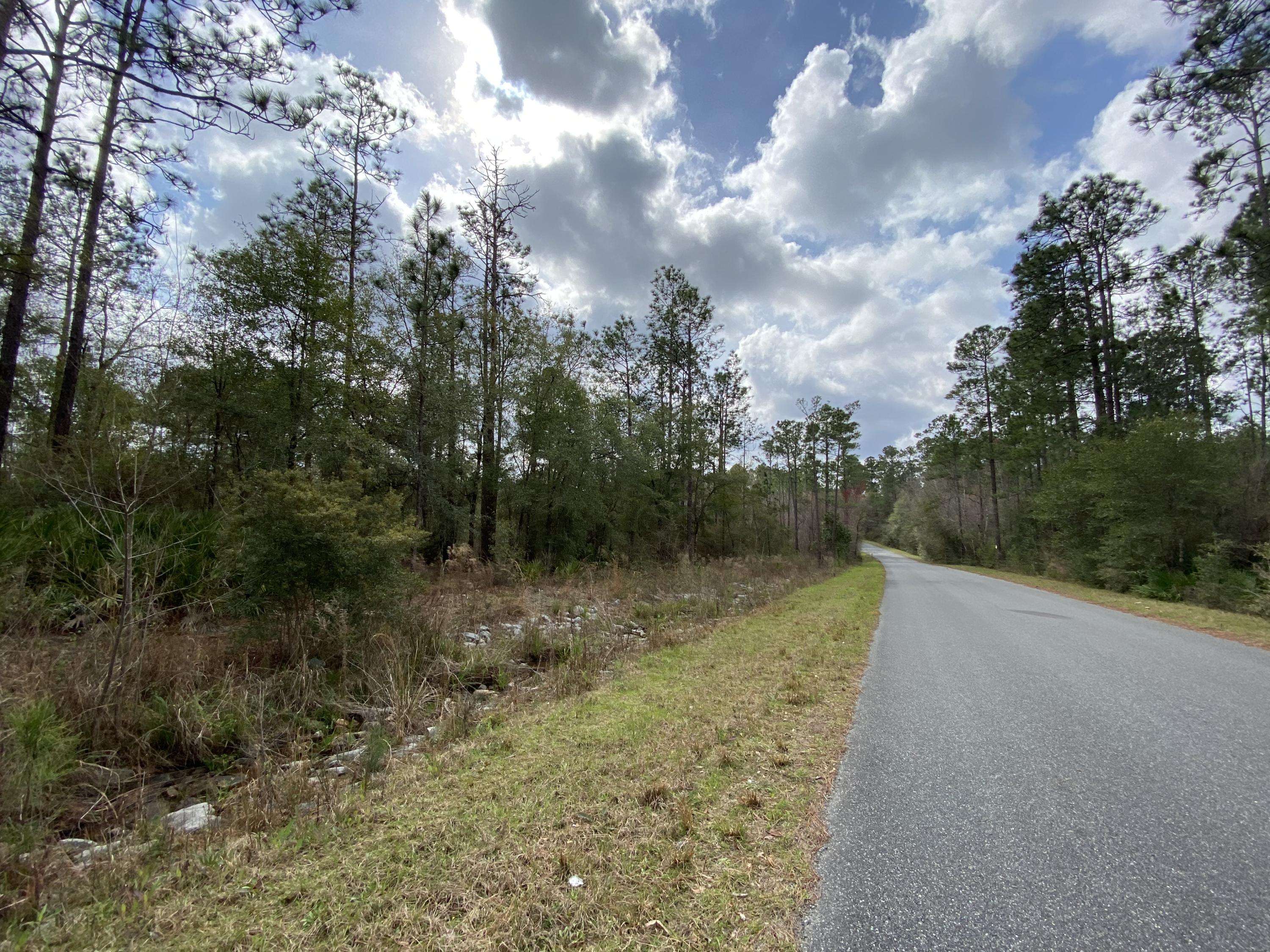 Holt, FL 32564,127.23 AC Gilmore Road