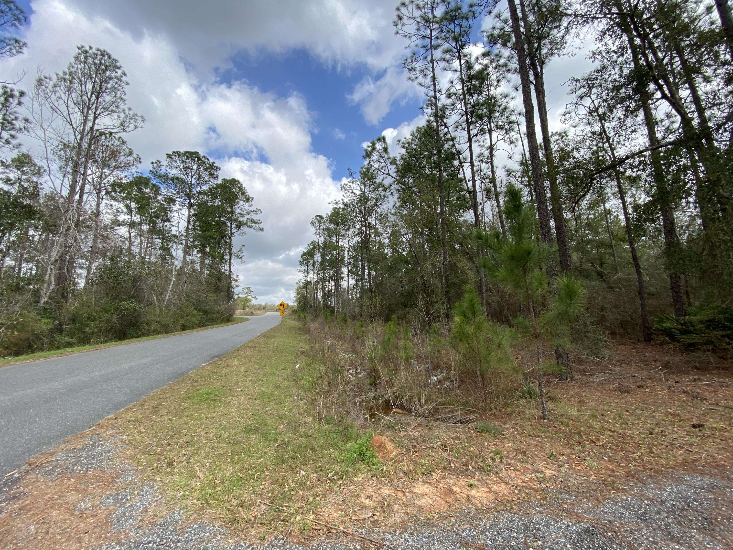 Holt, FL 32564,127.23 AC Gilmore Road