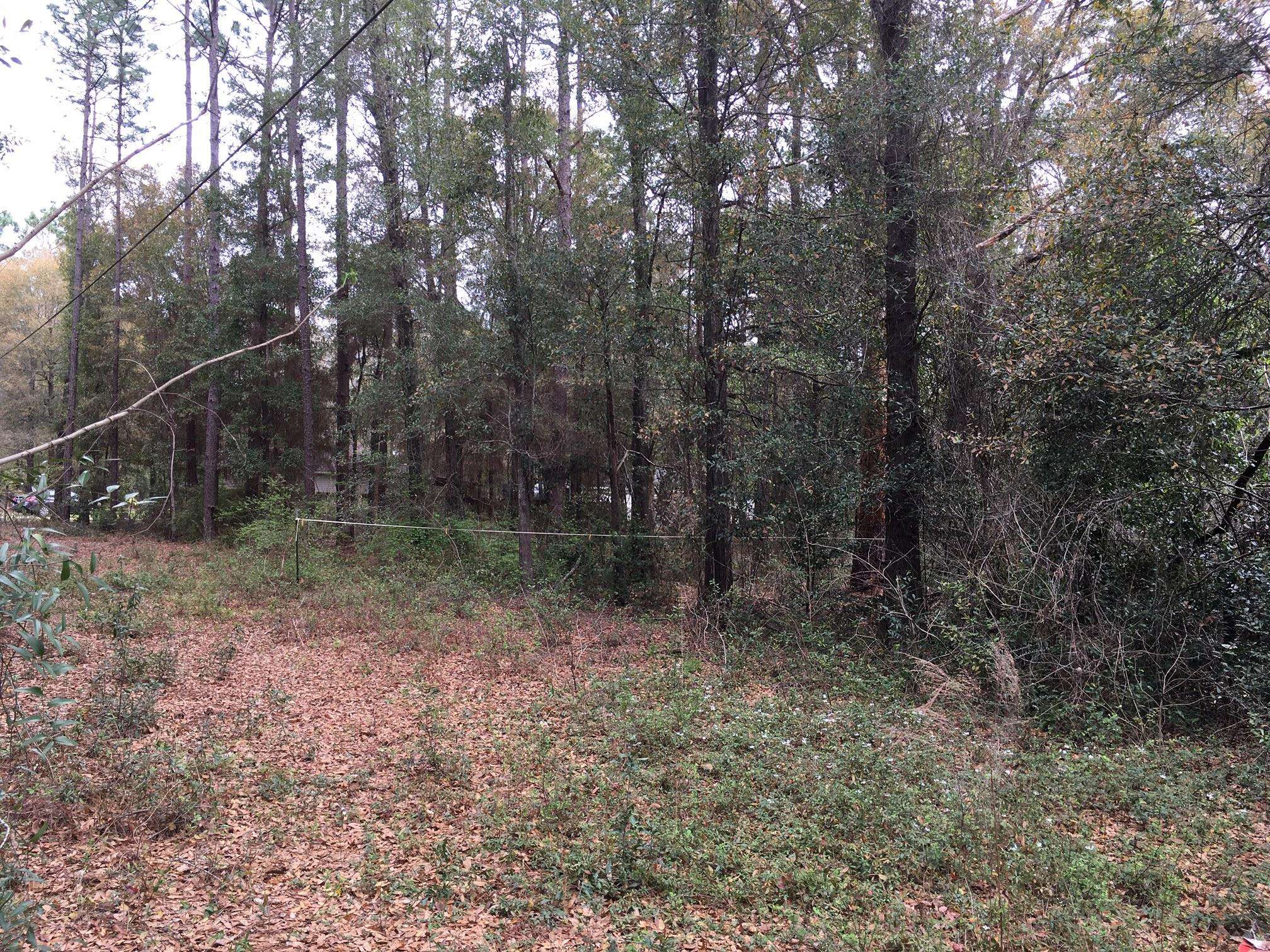 Holt, FL 32564,Lot 8 Liberty Boulevard