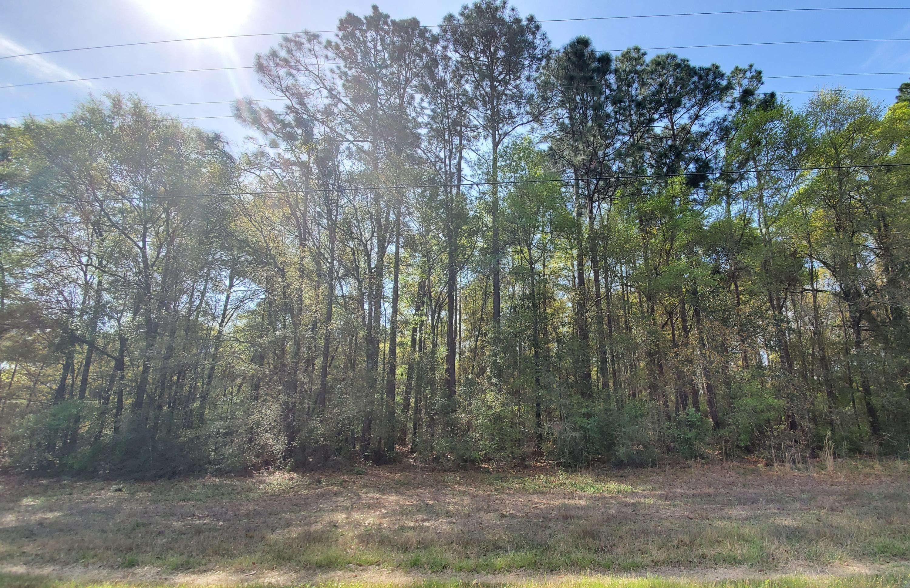 Holt, FL 32564,xxx (2 ac) W Highway 90