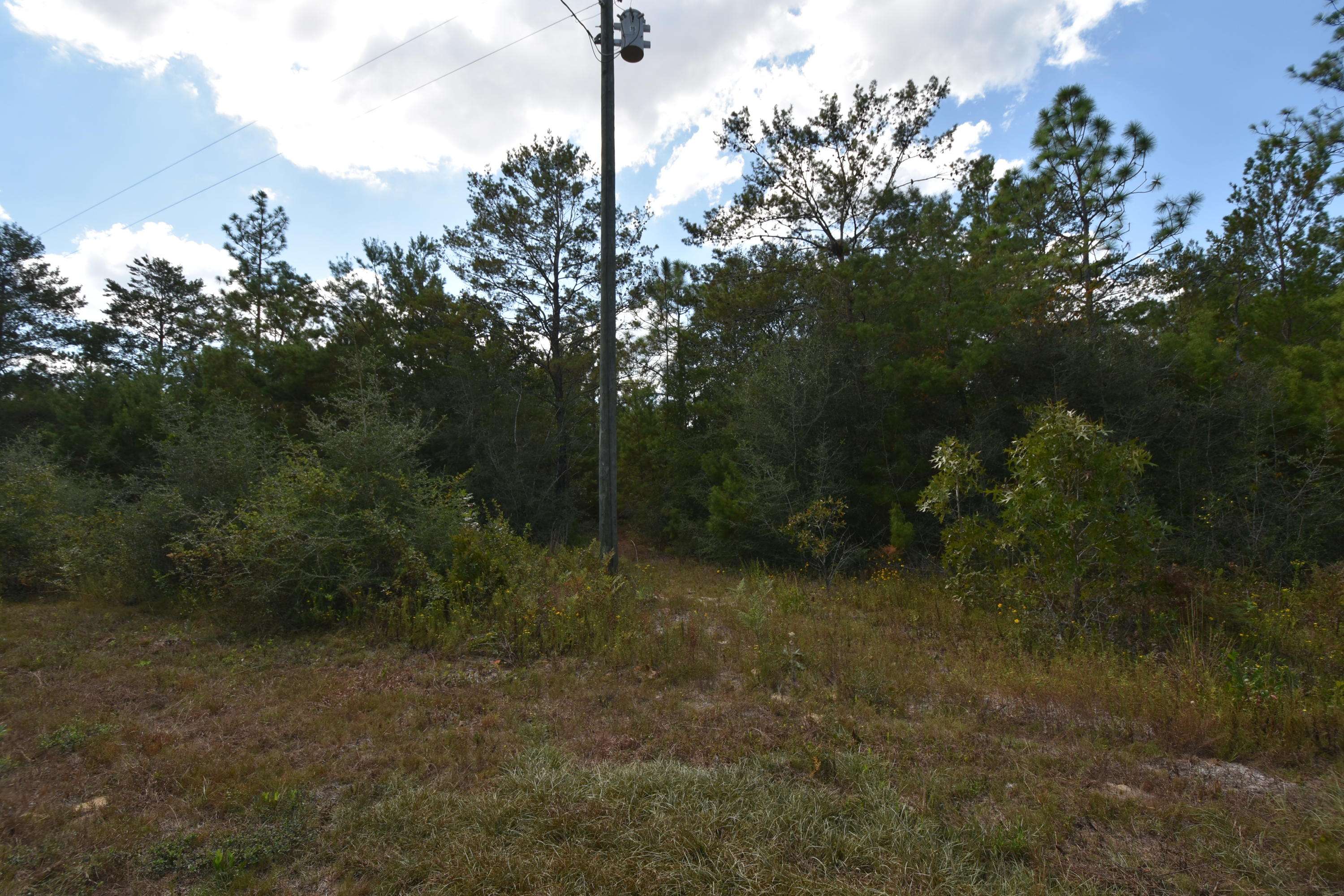 Crestview, FL 32539,10 Lots Third Avenue