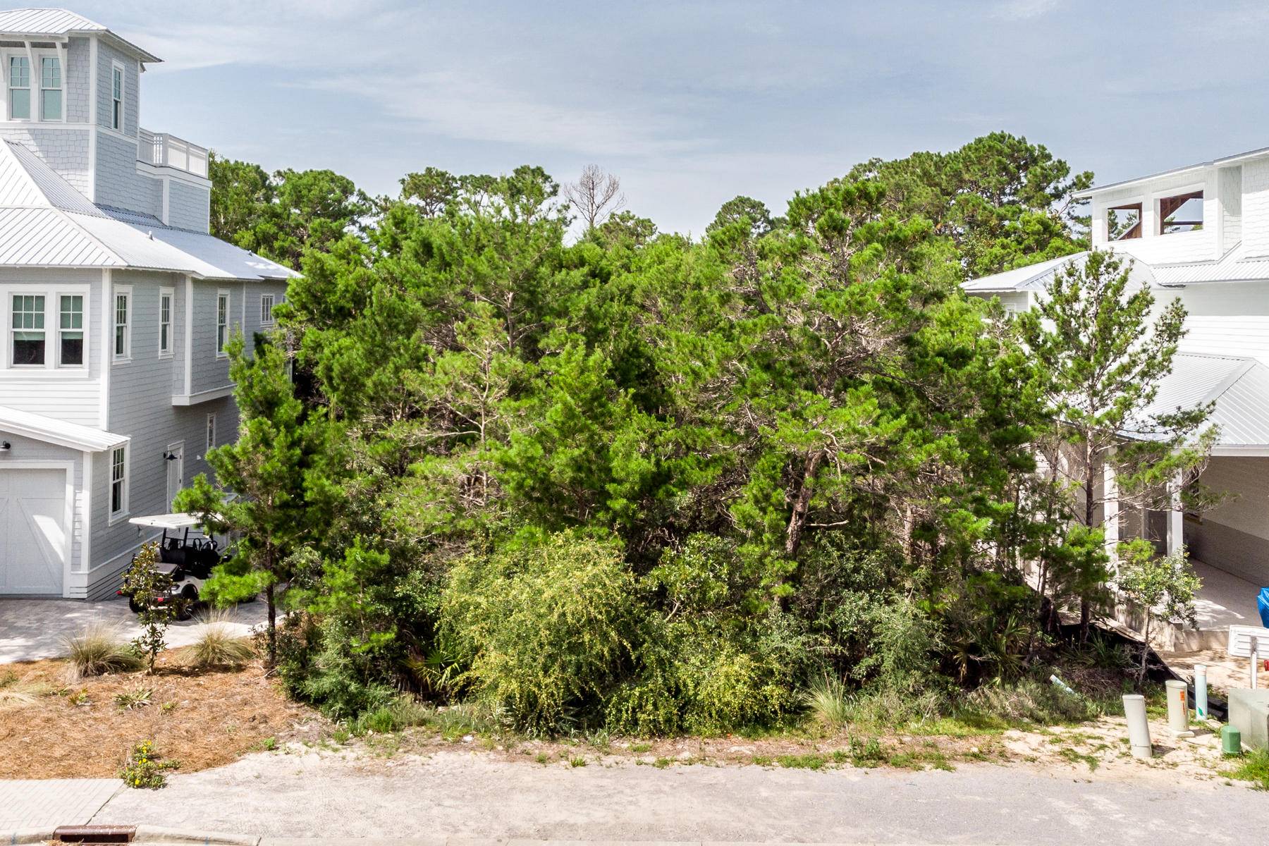 Santa Rosa Beach, FL 32459,LOT 113 Barton's Way