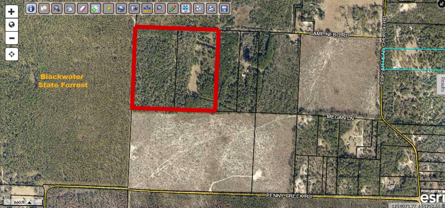 Holt, FL 32564,40 Acres Camp Nebo Road