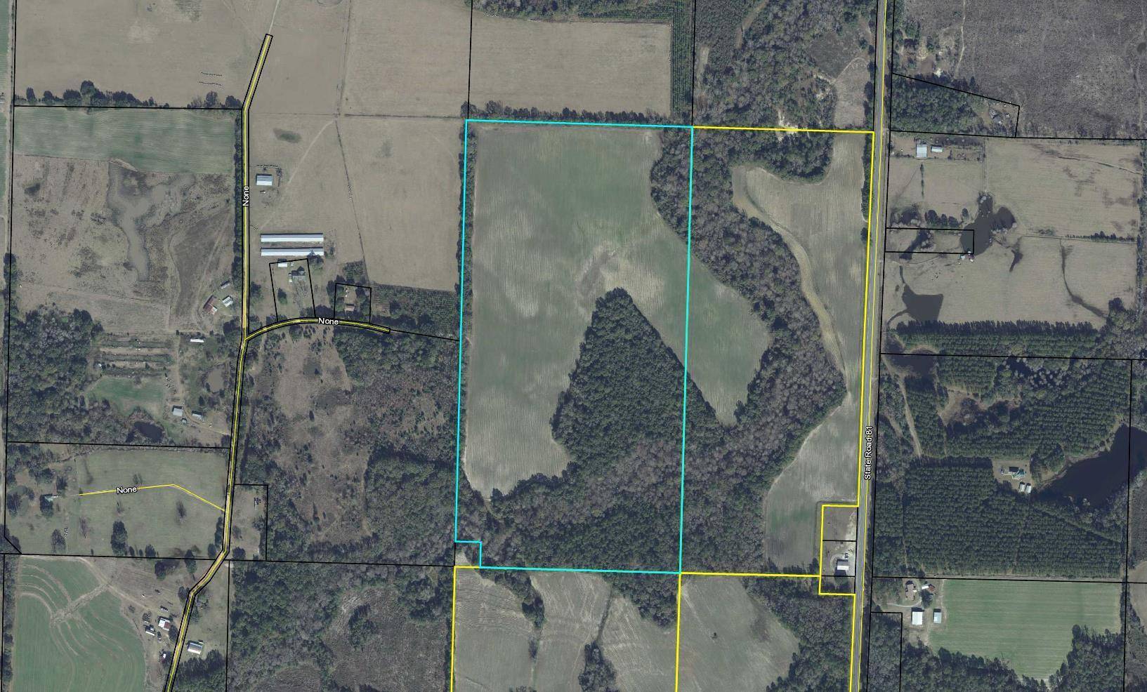 Westville, FL 32464,206+/ Acre Hwy 81 North