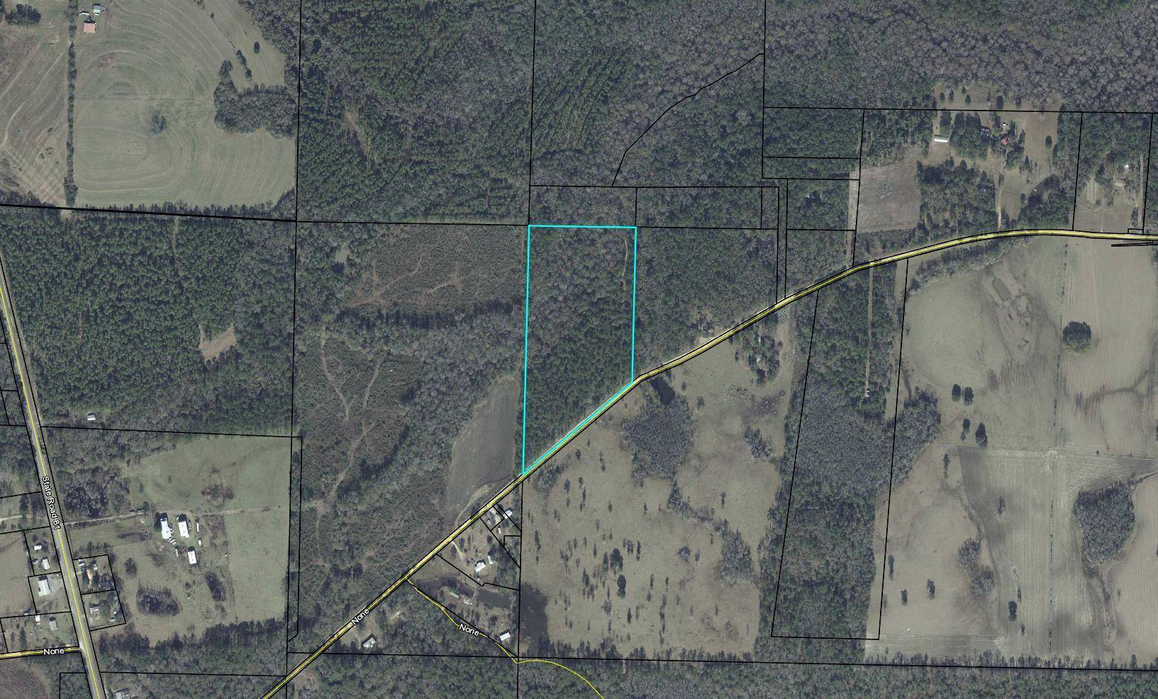 Westville, FL 32464,20 Acres Brackin Road