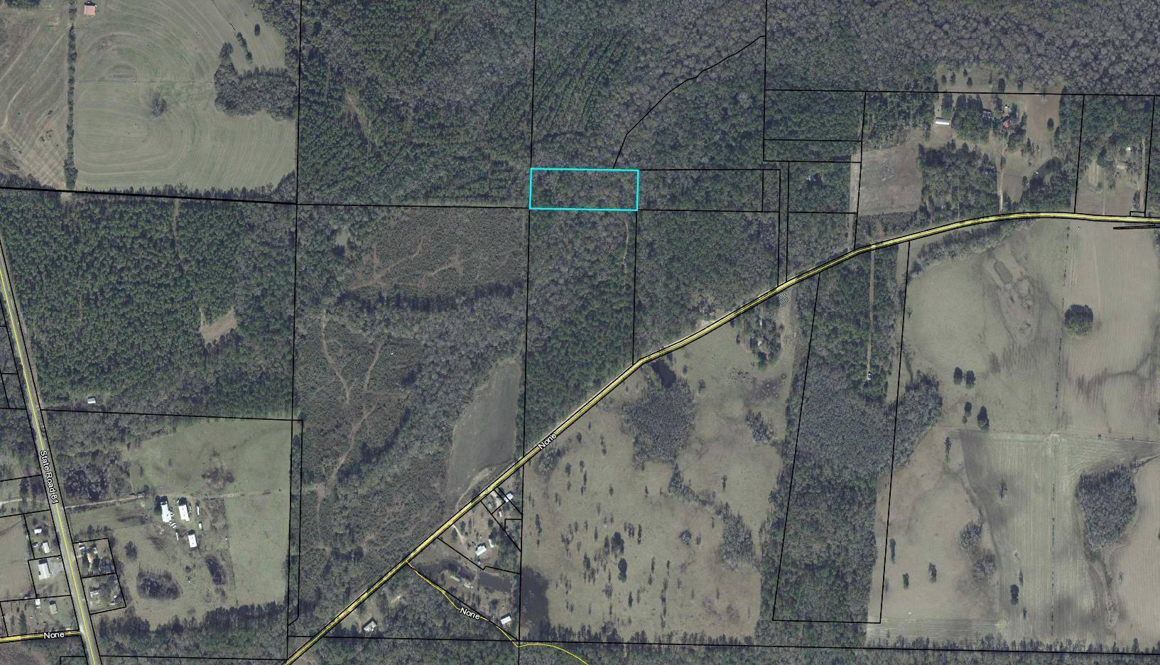 Westville, FL 32464,20 Acres Brackin Road