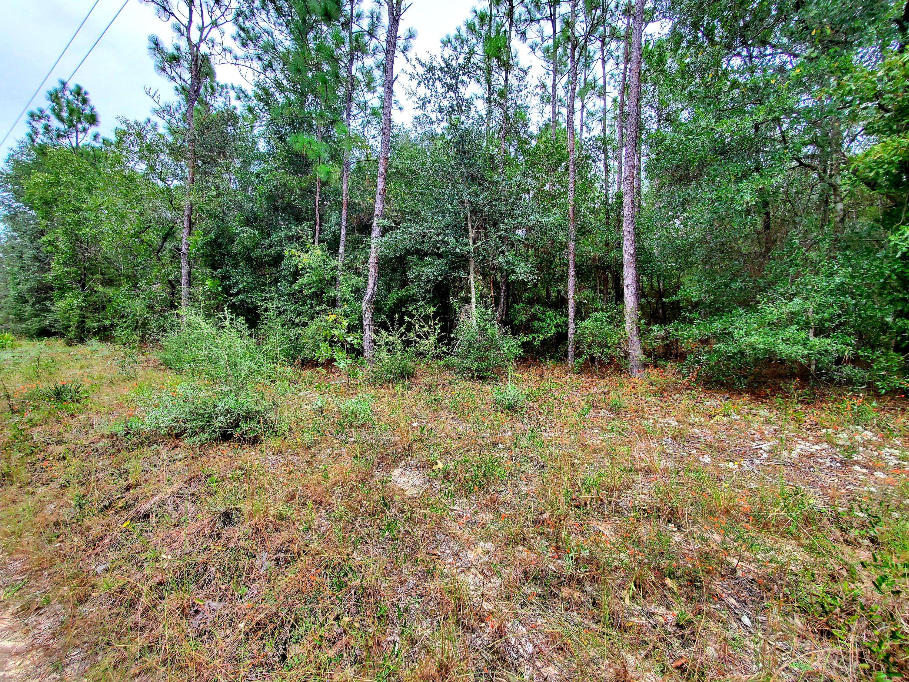 Holt, FL 32564,1.66 Ac xx Boundry Lane