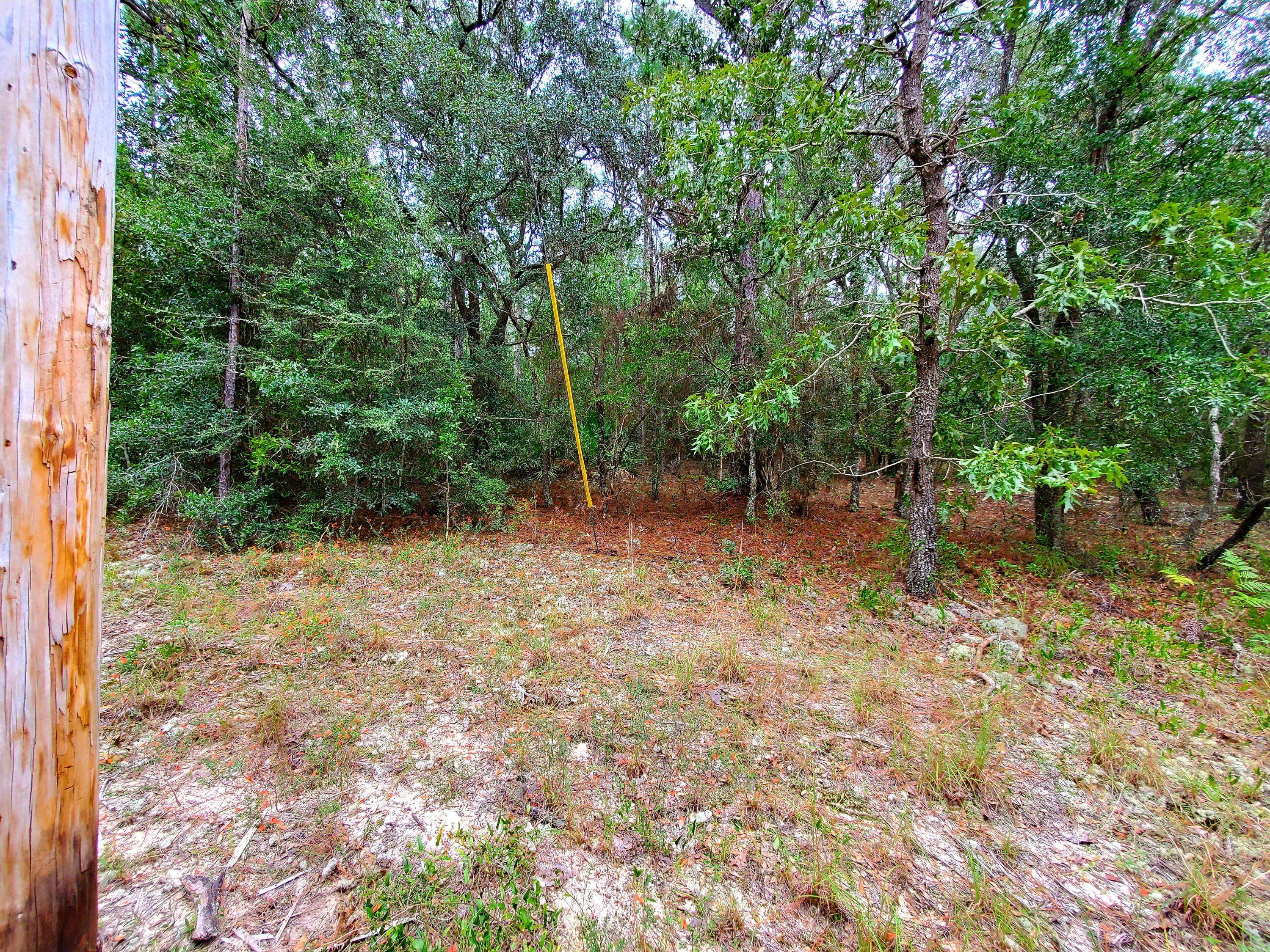 Holt, FL 32564,1.66 Ac xx Boundry Lane