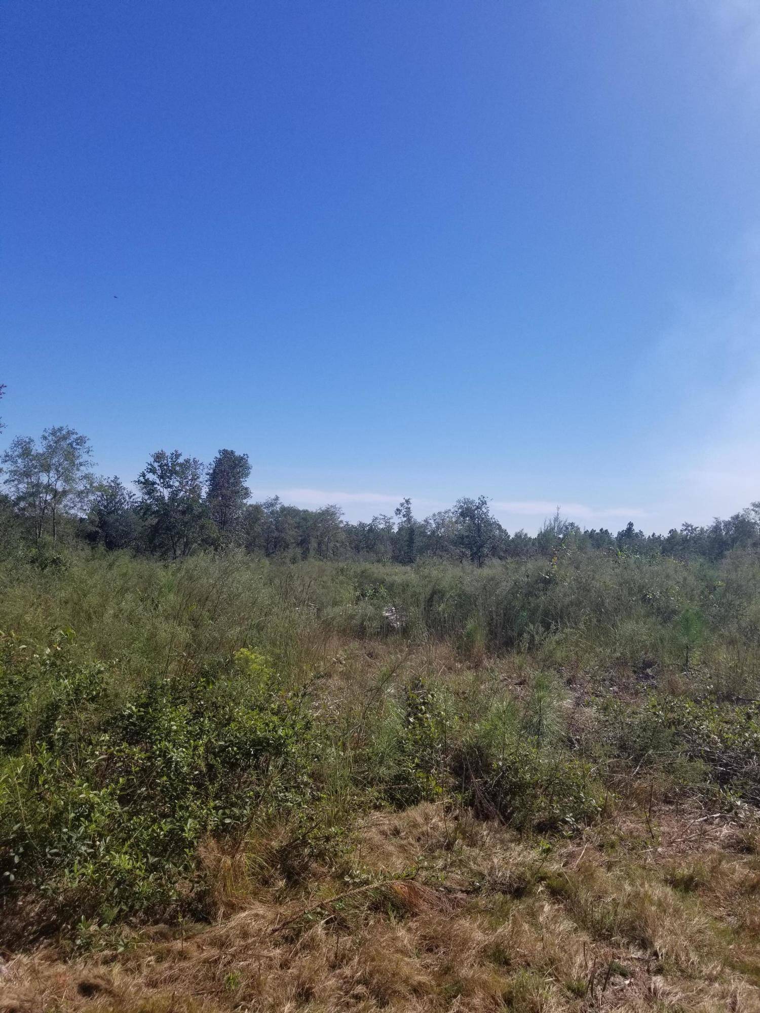 Laurel Hill, FL 32567,252 E Chapel Road