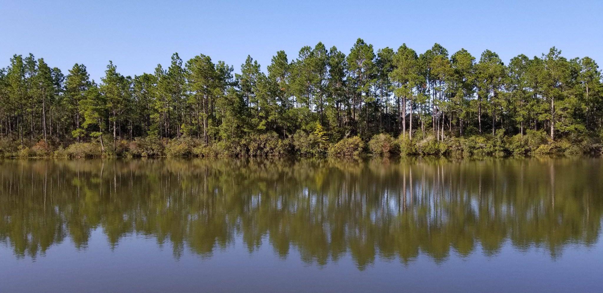 Crestview, FL 32536,25 Ac W Dogwood Drive